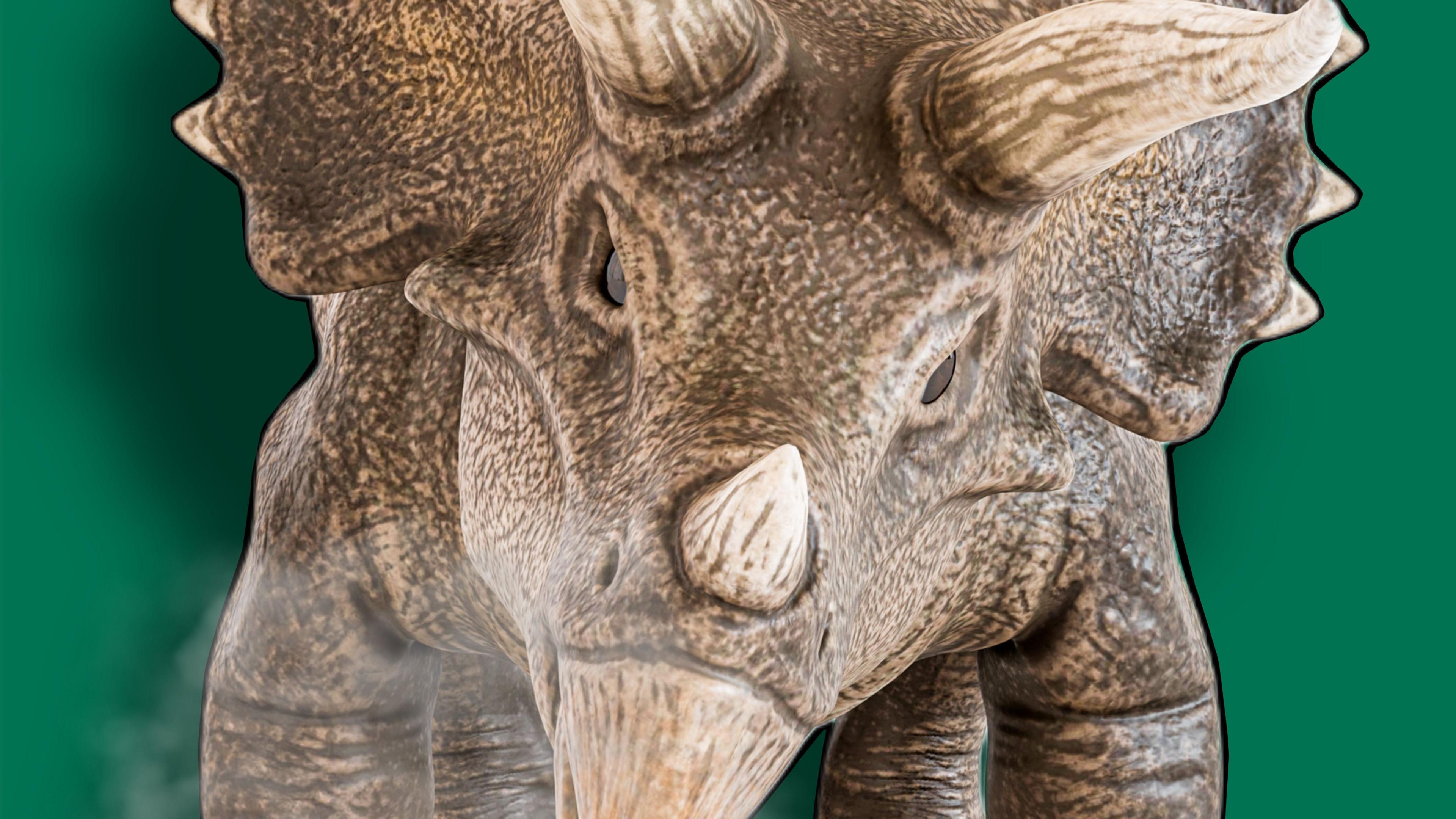A close-up of a triceratops, with condensation caused from its large nose. 