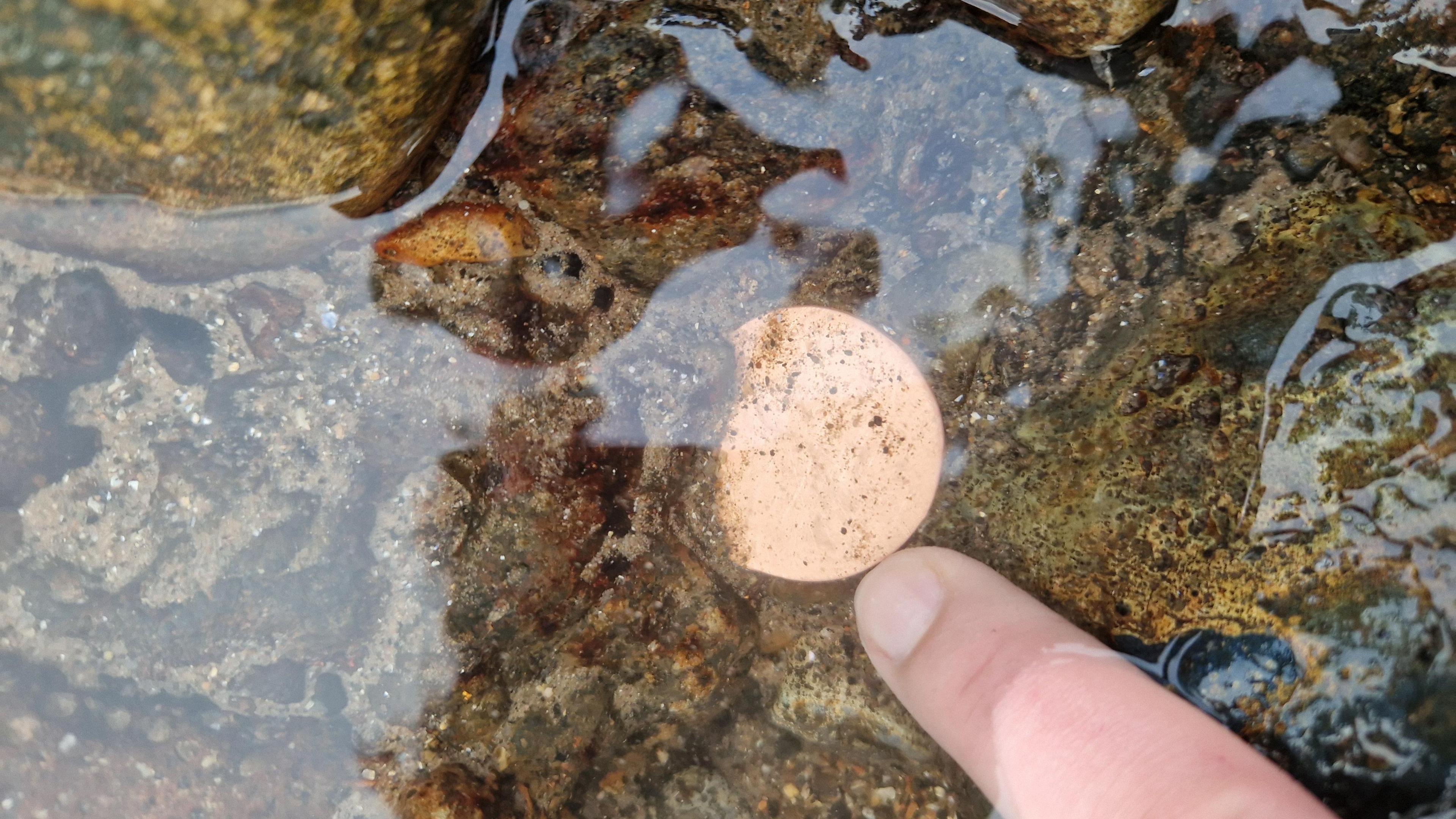 A finger pointing at a once-bronze coloured coin in a rock under some water.