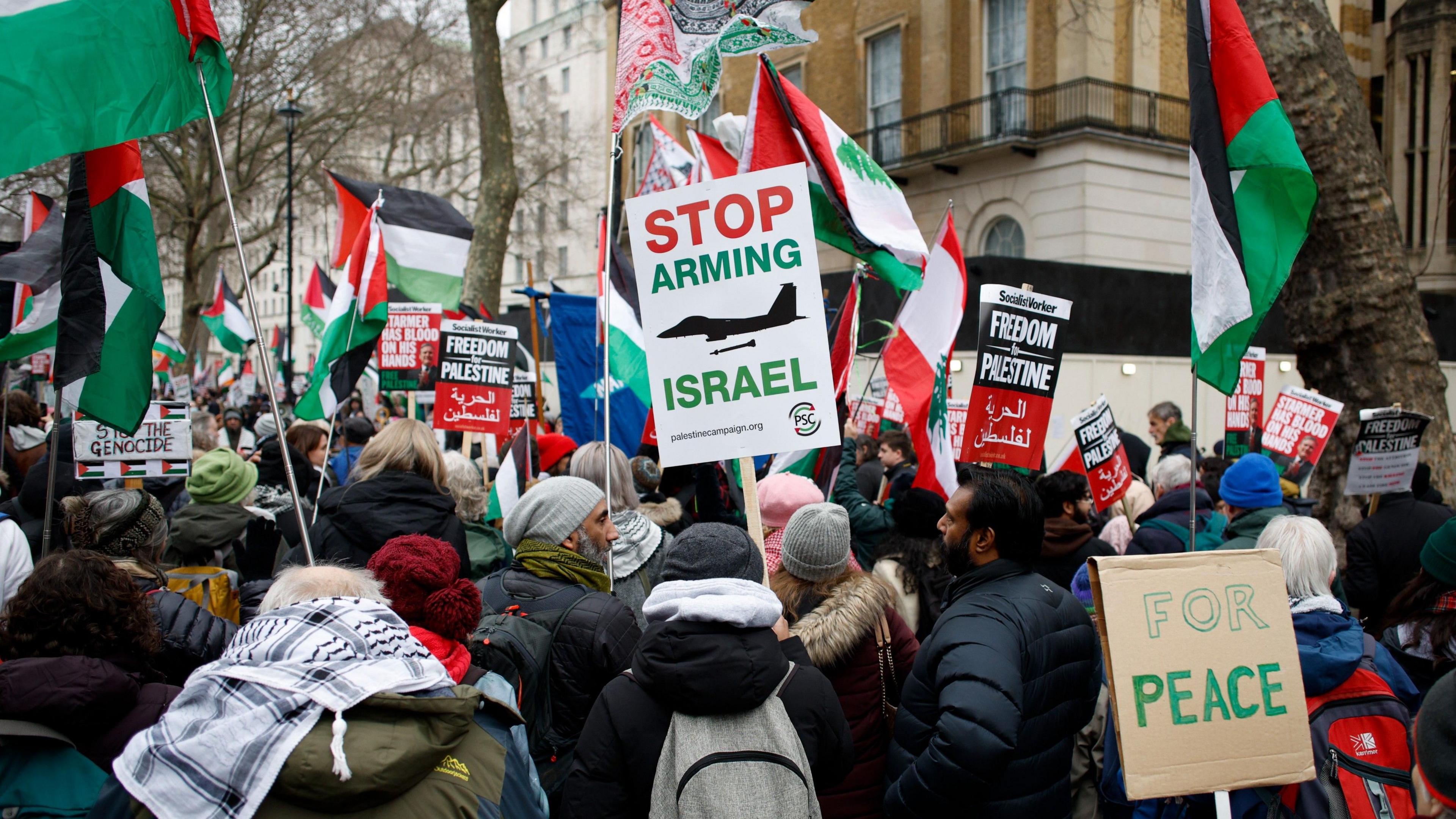 Crowd of protesters gather with green, white, and black Palestine flags and signs calling for peace and to 'stop arming Israel'