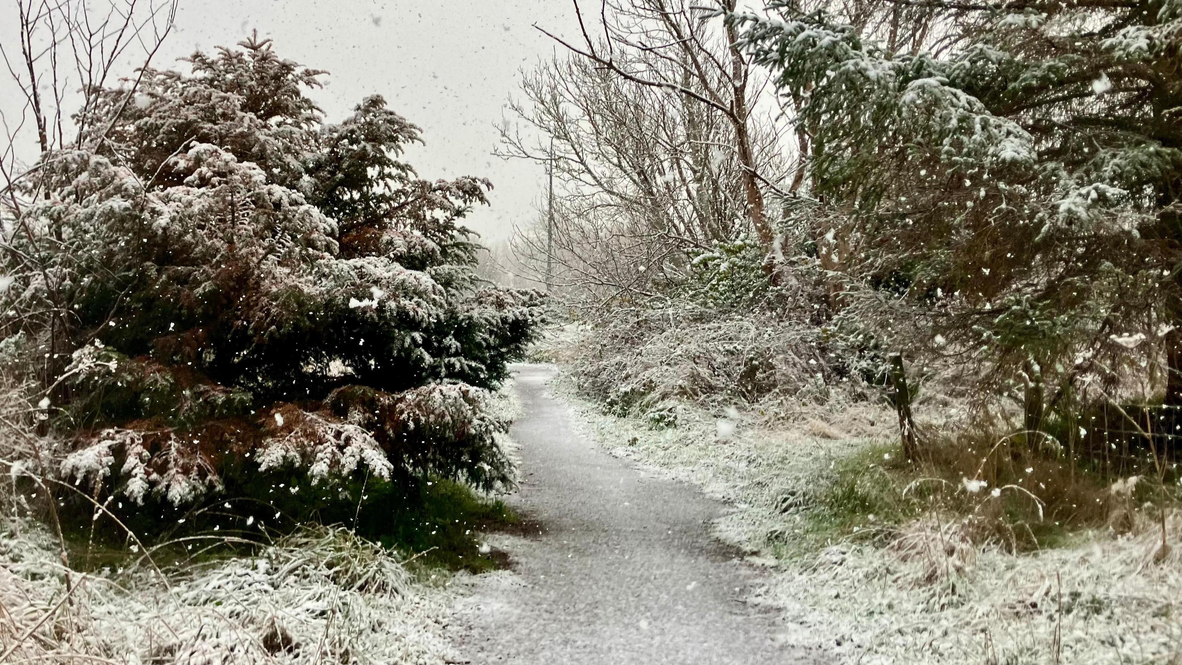 A narrow path lined with snow-covered trees and bushes, with snowflakes falling in the scene.