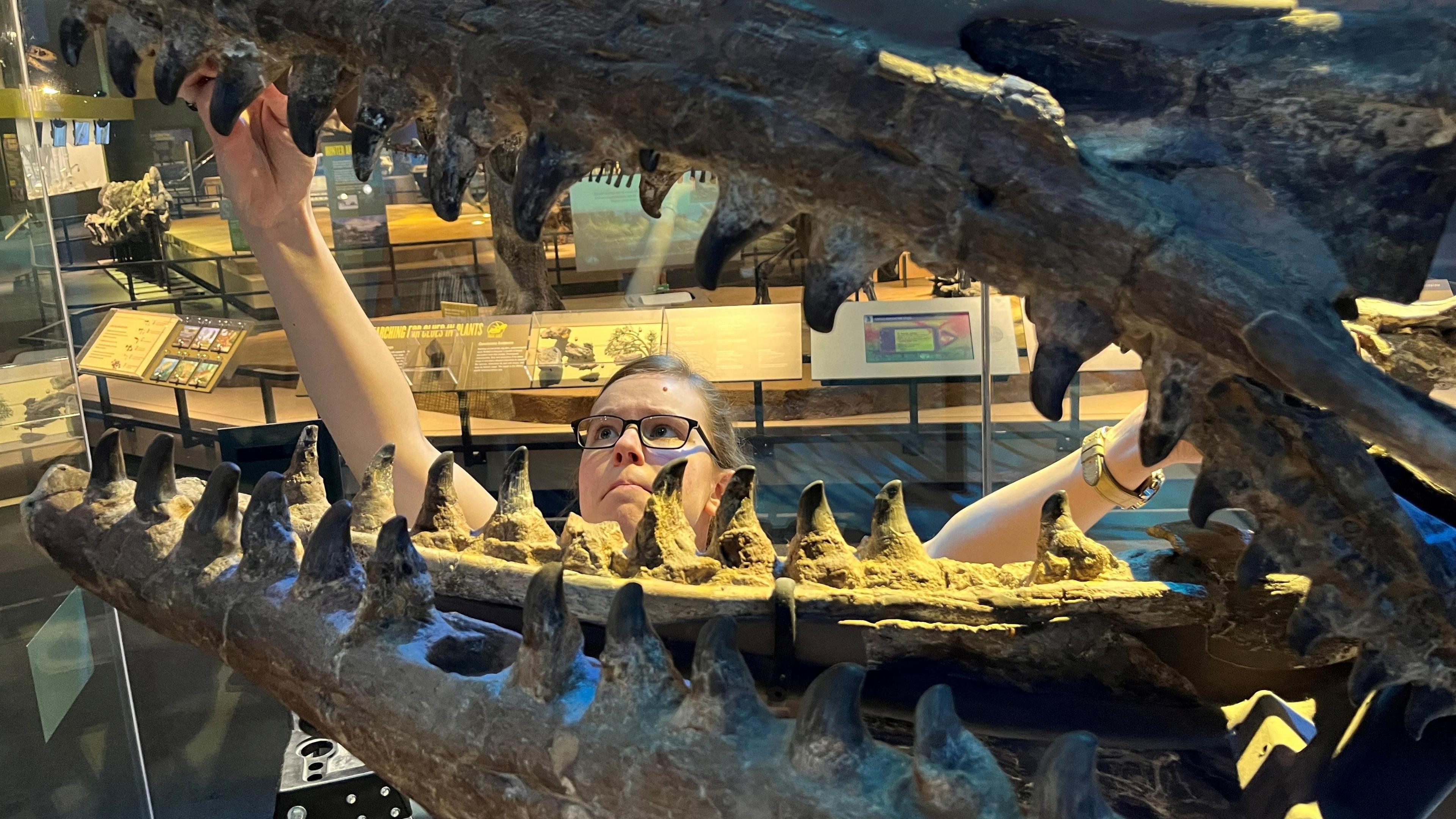 Researcher Amelia Zietlow examines the Tylosaurus rex holotype skeleton at the Perot Museum of Nature and Science in Dallas.