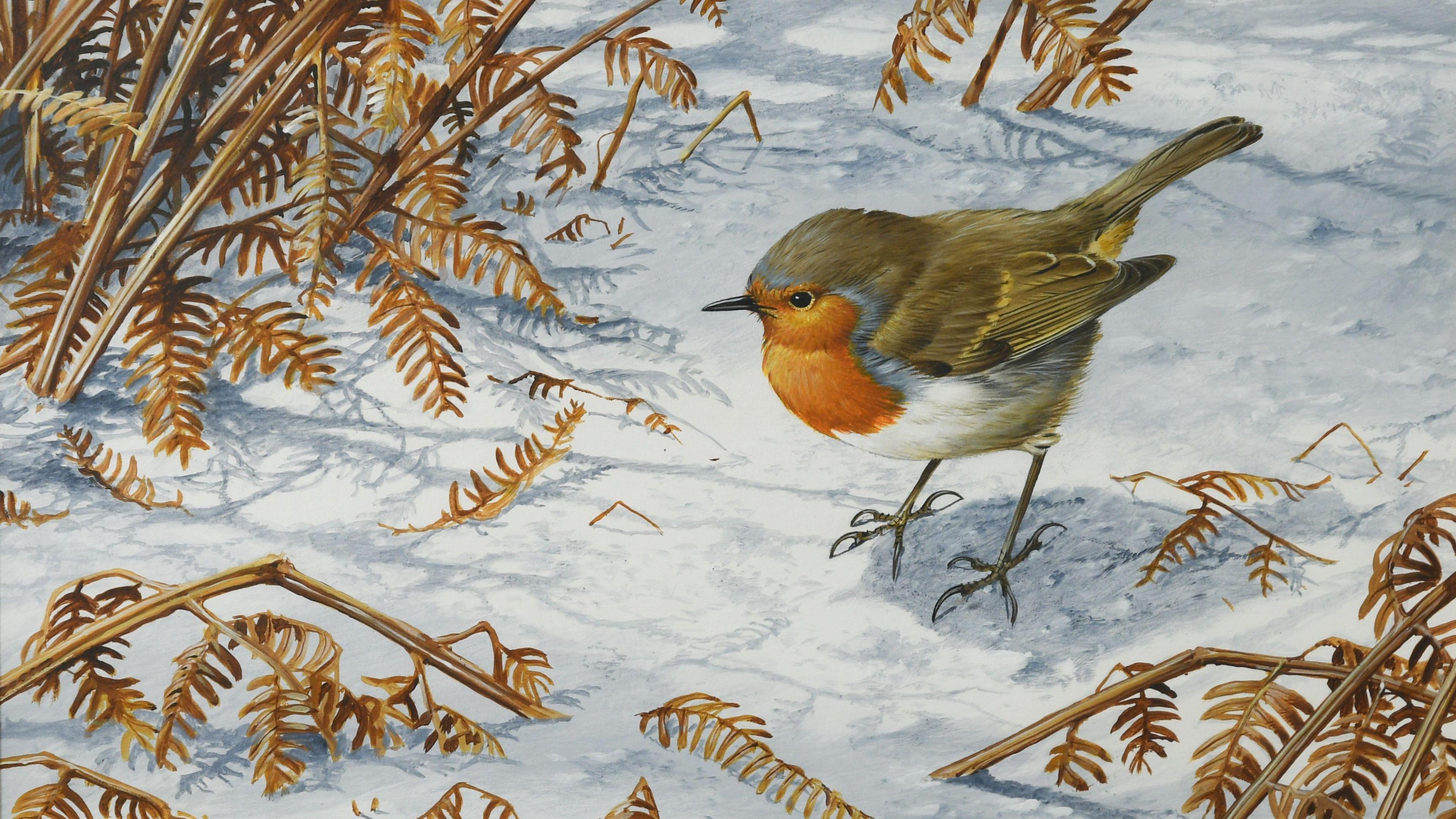 A painting of a robin standing in the snow. Brown plant stems can be seen around it poking through the snow.