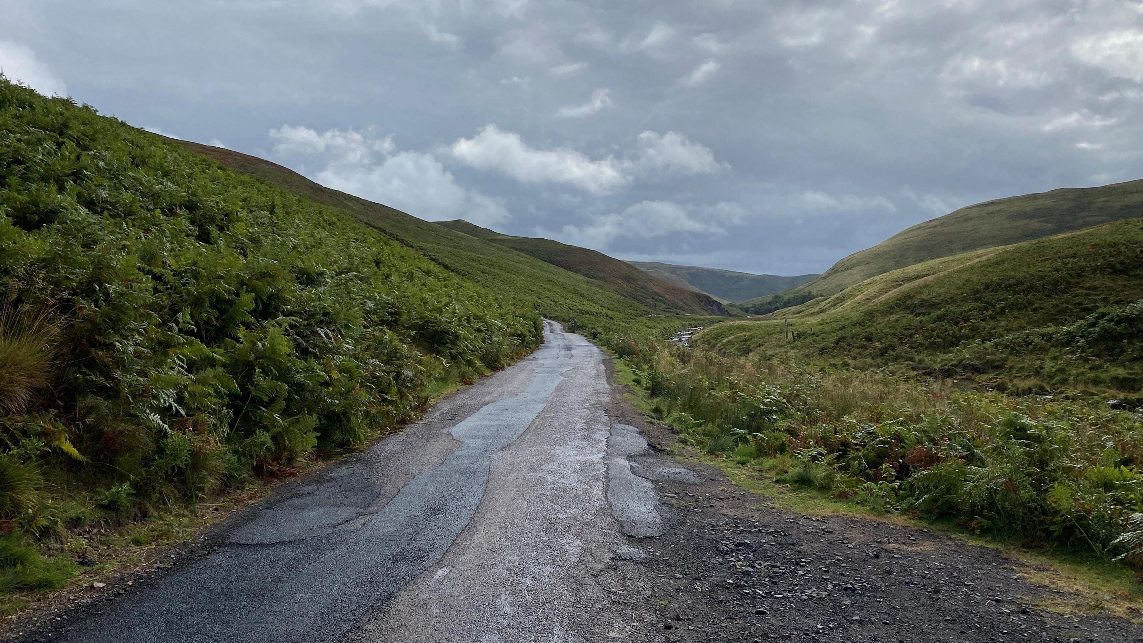 A road cuts through a valley which is covered with ferns and with a grey sky overhead. The road is very narrow, with signs of patchy repairs done at different times. No person can be seen even though the view stretches way into the distance.
