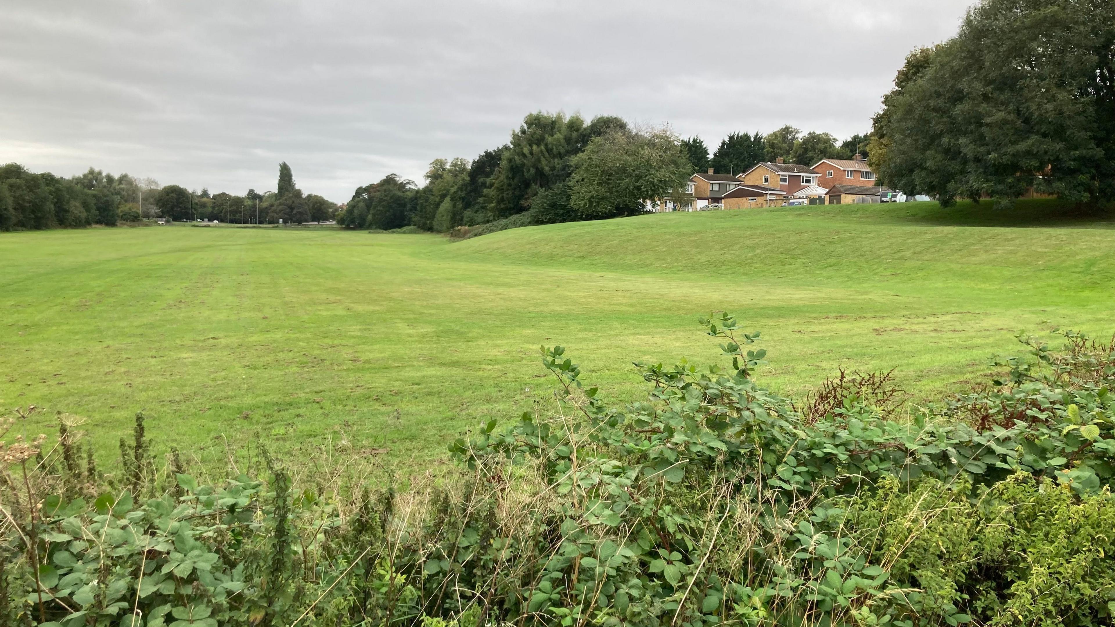 Grass park with hedge in foreground.  Houses are visible between two trees in the background.