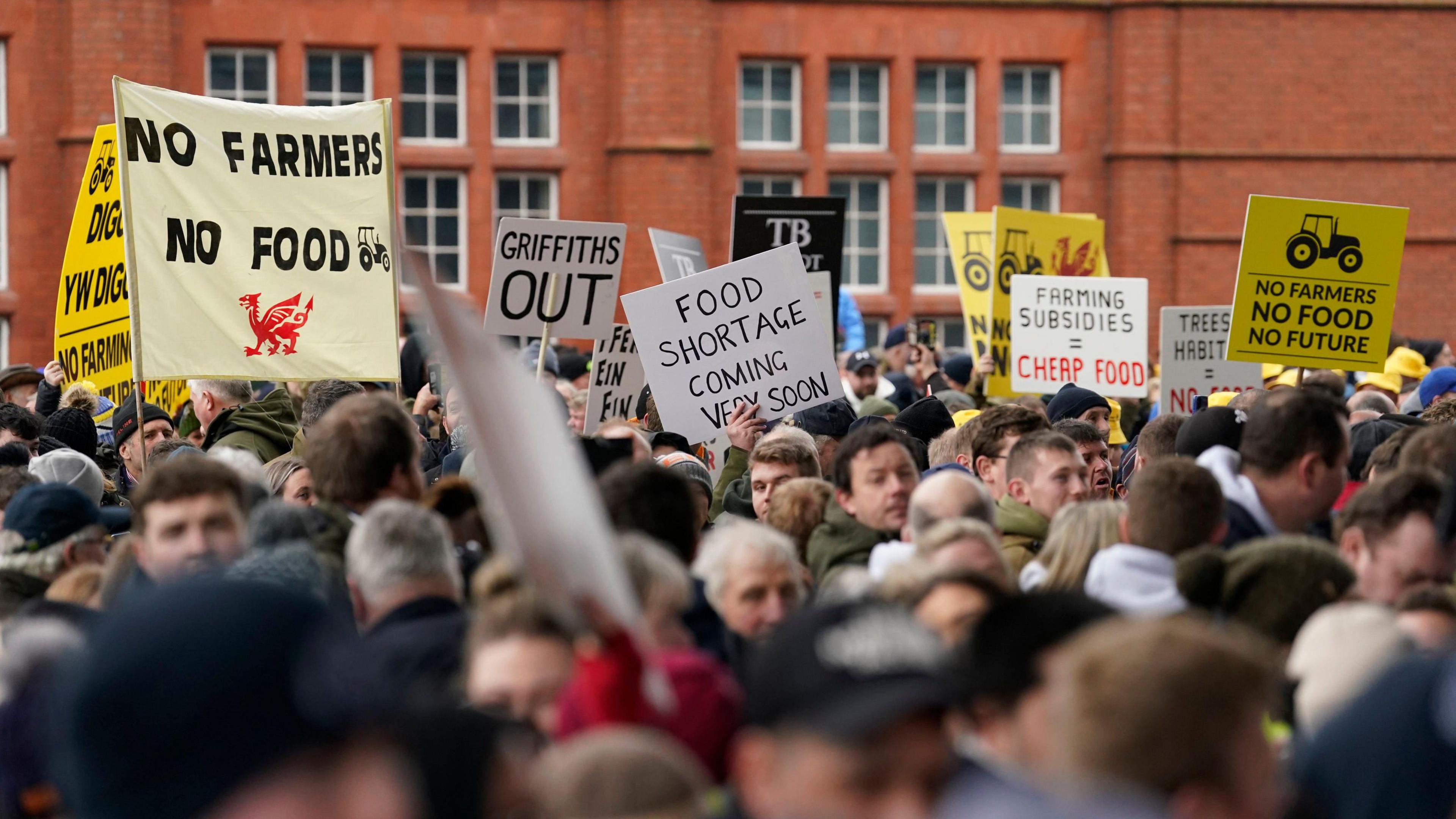 Farmers protesting outside the Senedd in February.