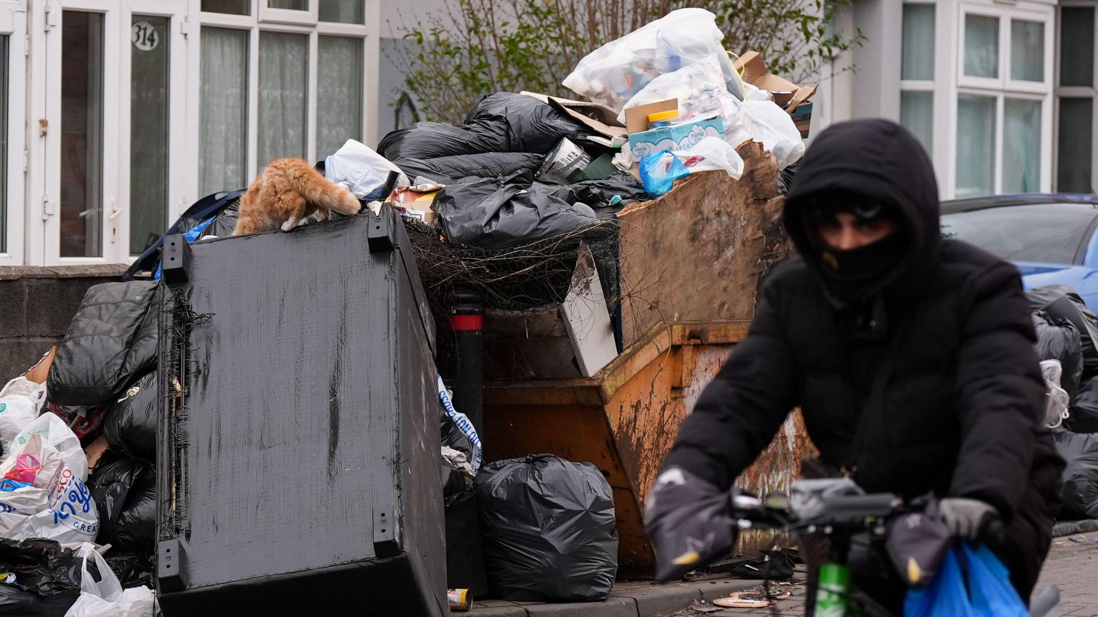 A cyclist passes by uncollected refuse bags. Behind him, a cat rummages through furniture and uncollected refuse bags. Rubbish is piling high and there are also some fly-tipped pieces of rubbish.