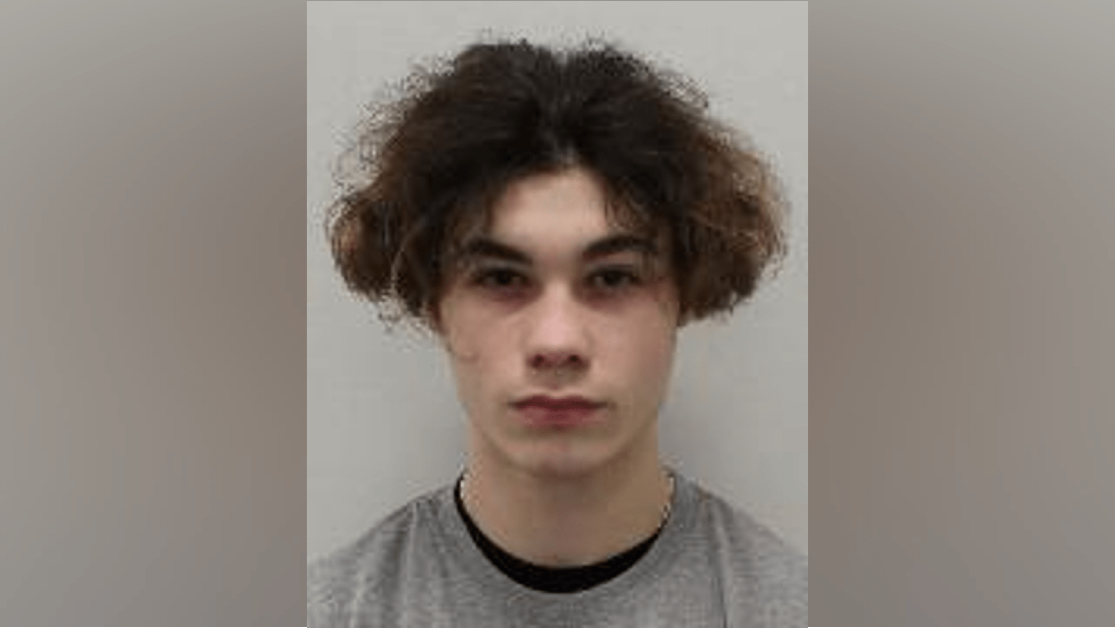 Areece Lloyd-Hall custody photo. He wears a grey jumper and has brown curly hair.