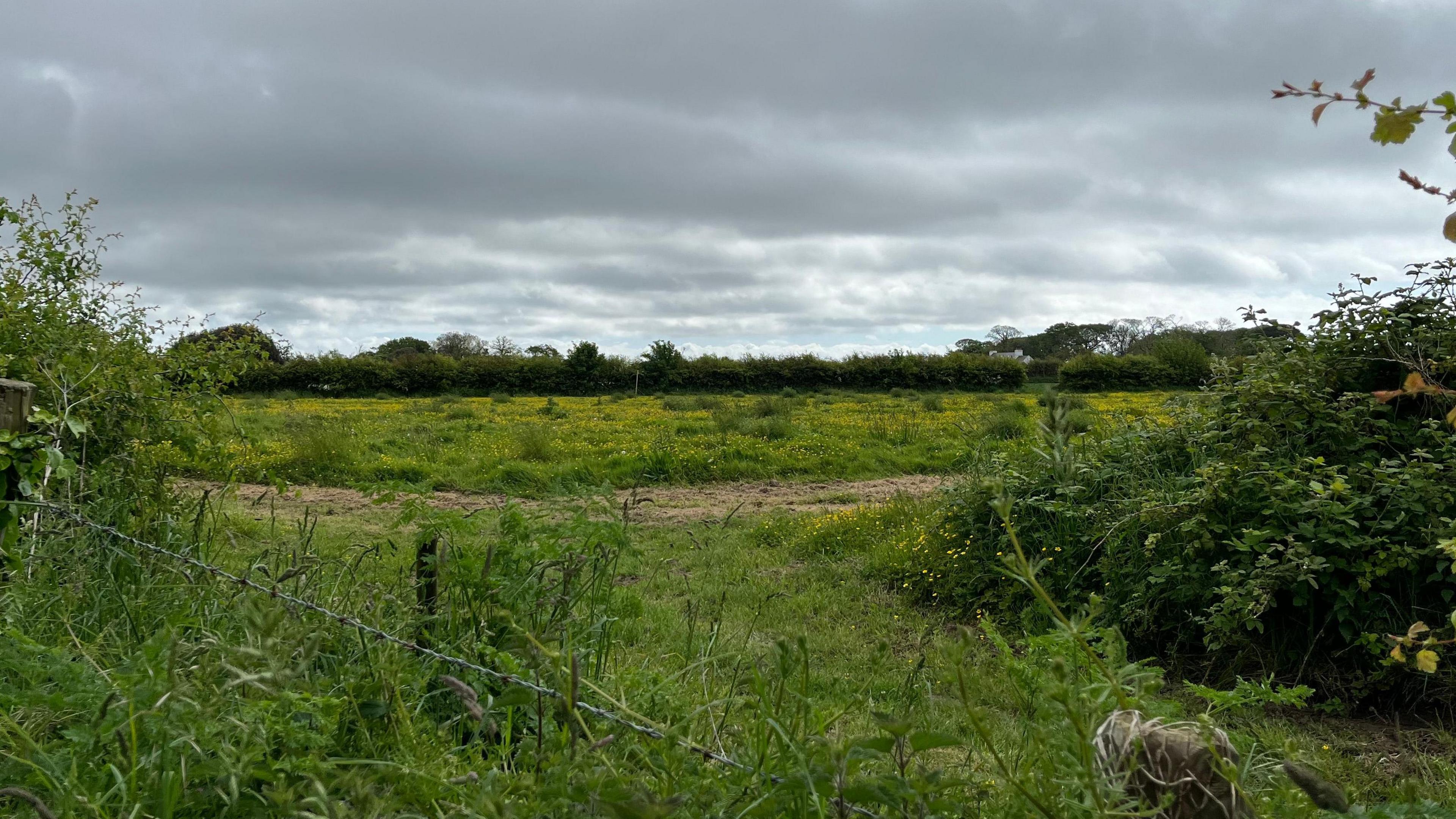 Fields in St Peter