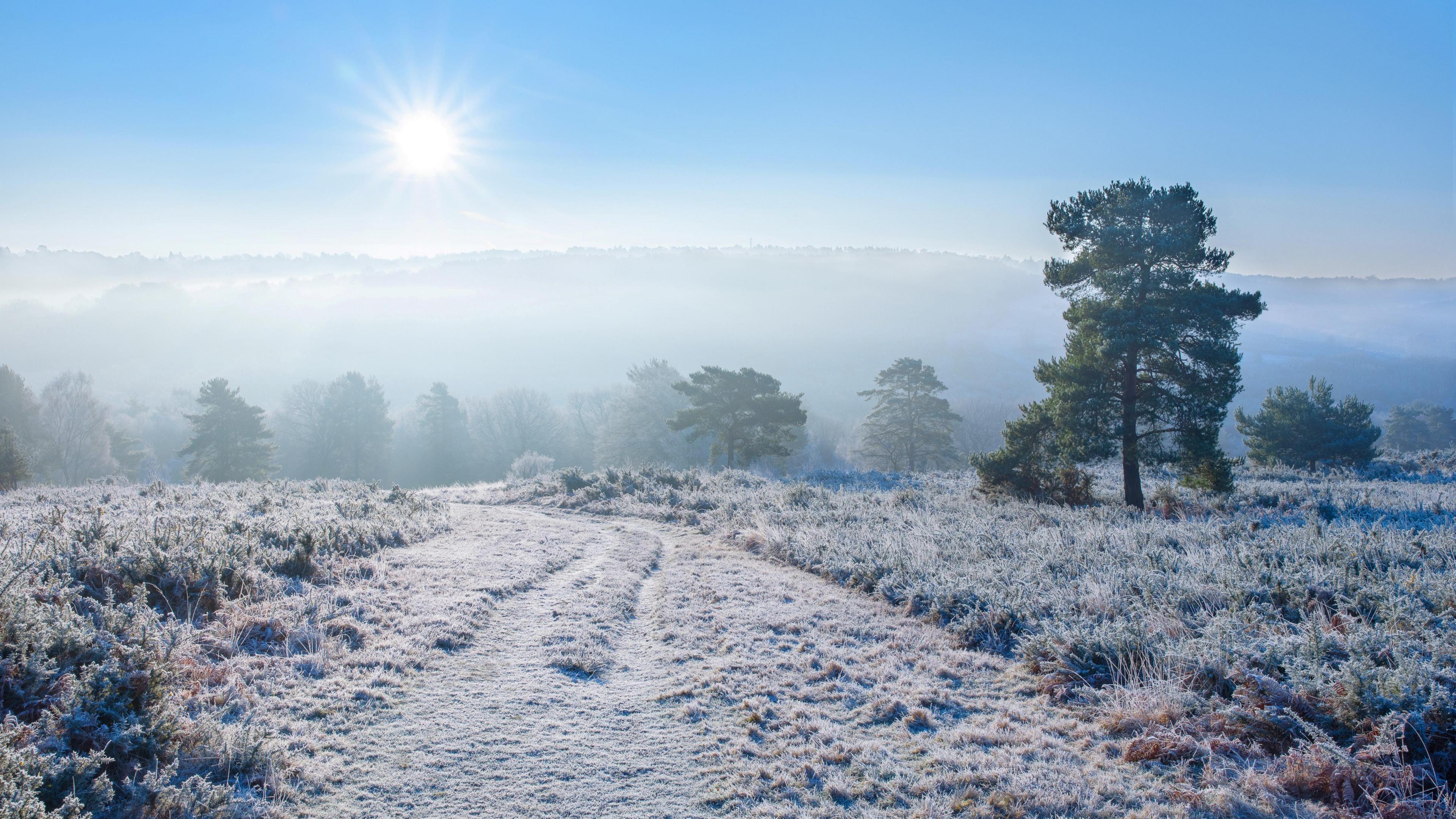 A snowy, wintery landscape scene. The sun is weakly shining through a blue, misty sky at the top left of the image. Frost covers the grass and bushes. 