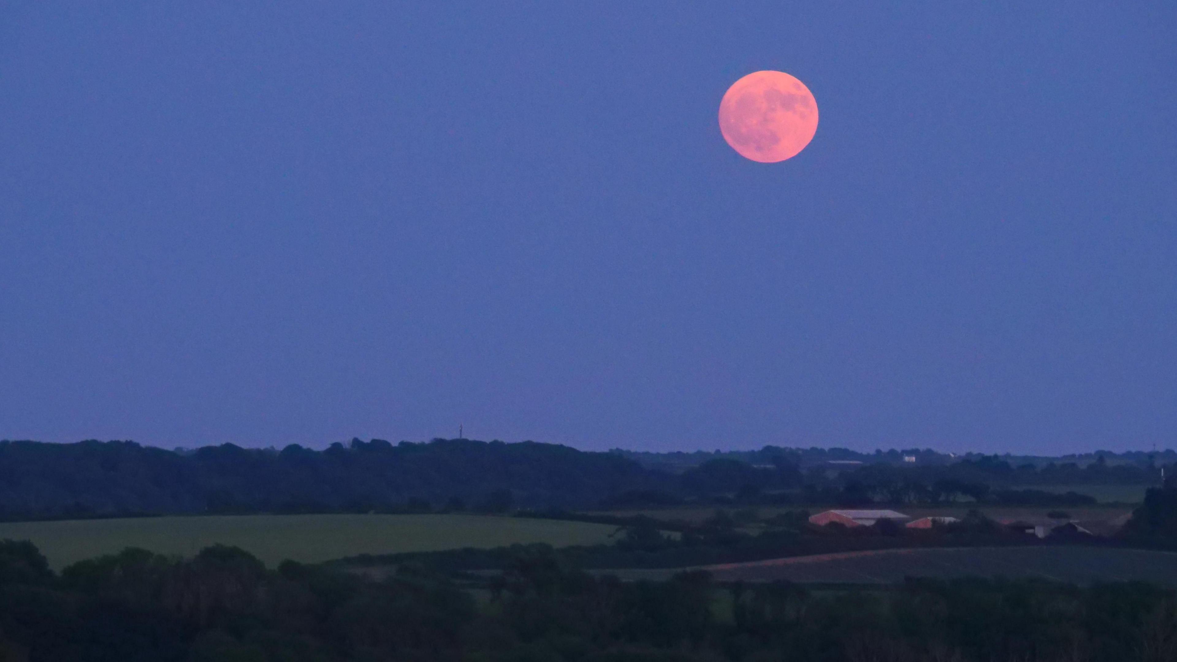 The Strawberry Moon in St Erme, Cornwall it is in the sky over a field