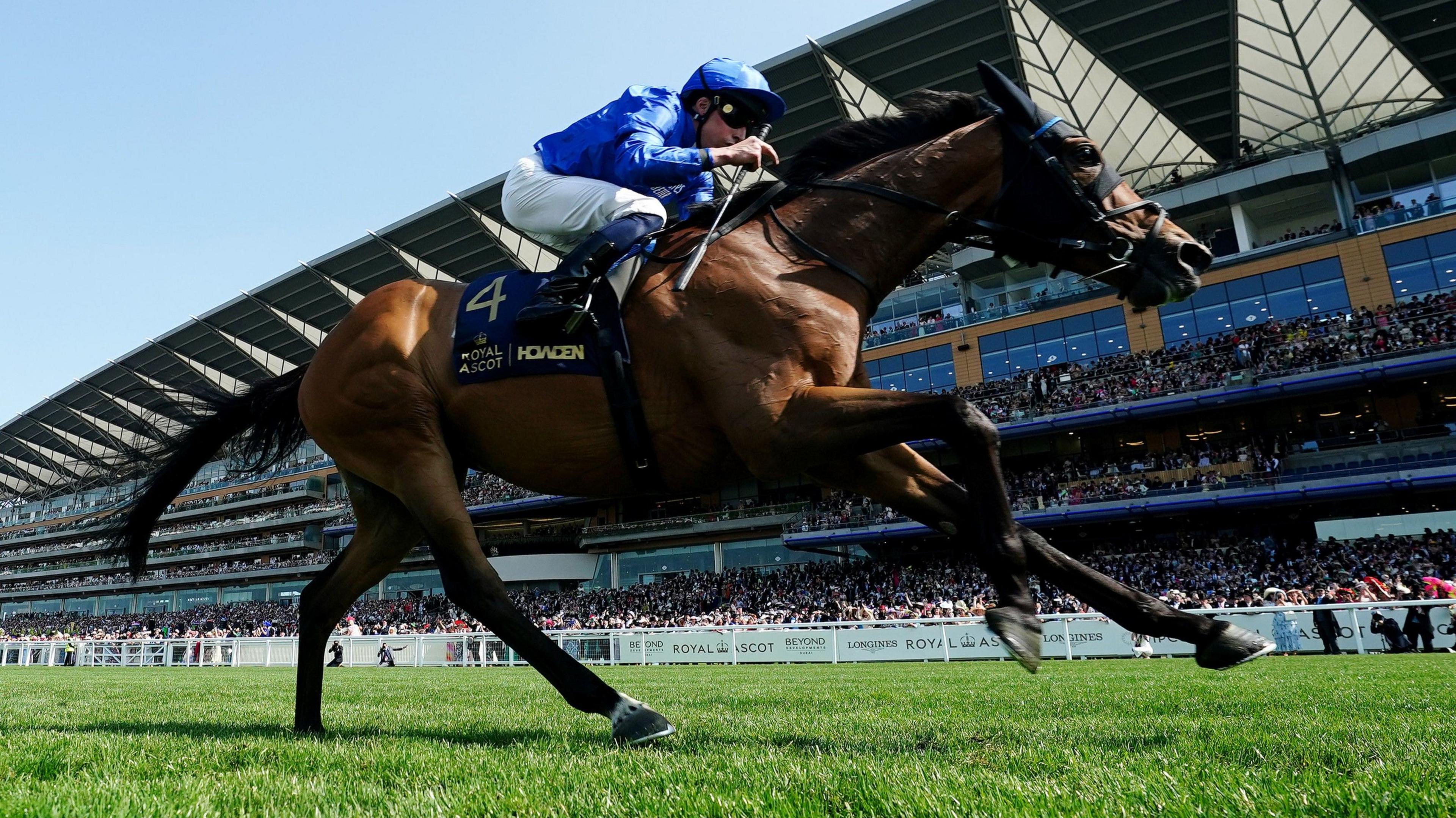Trawlerman wins the Gold Cup at Royal Ascot