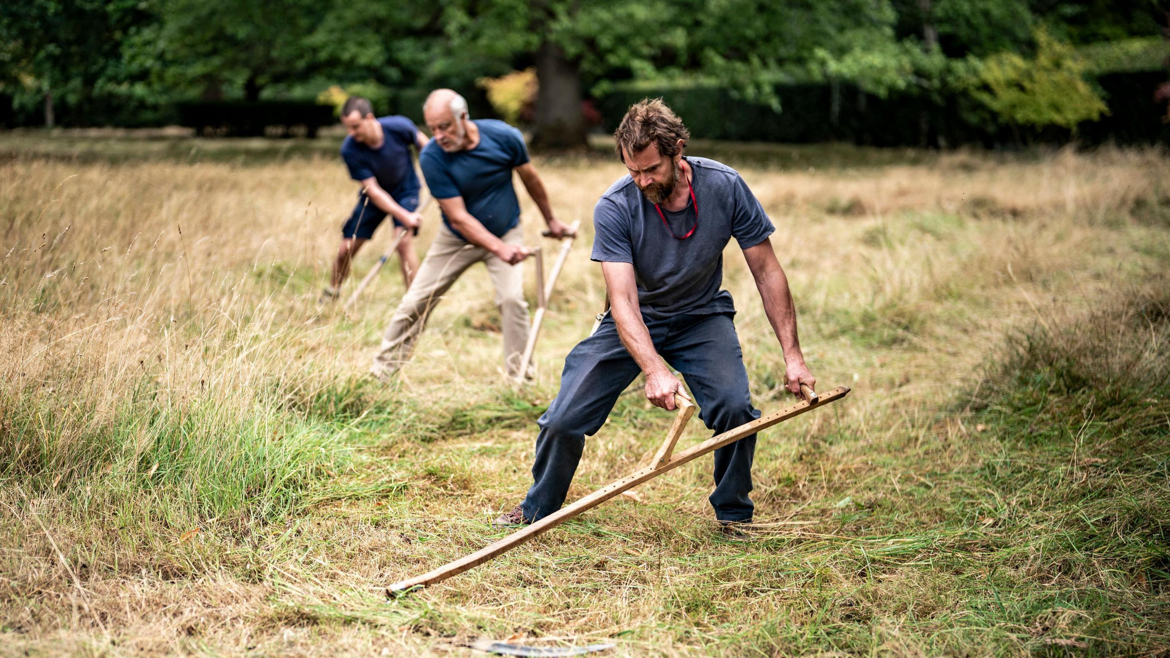 Three men holding traditional woman scythes work cutting grass in a meadow. At points there is long grass and in others it is short and scrubby, and pale due to a lack of rain. The men are all wearing blue T-shirts and work trousers
