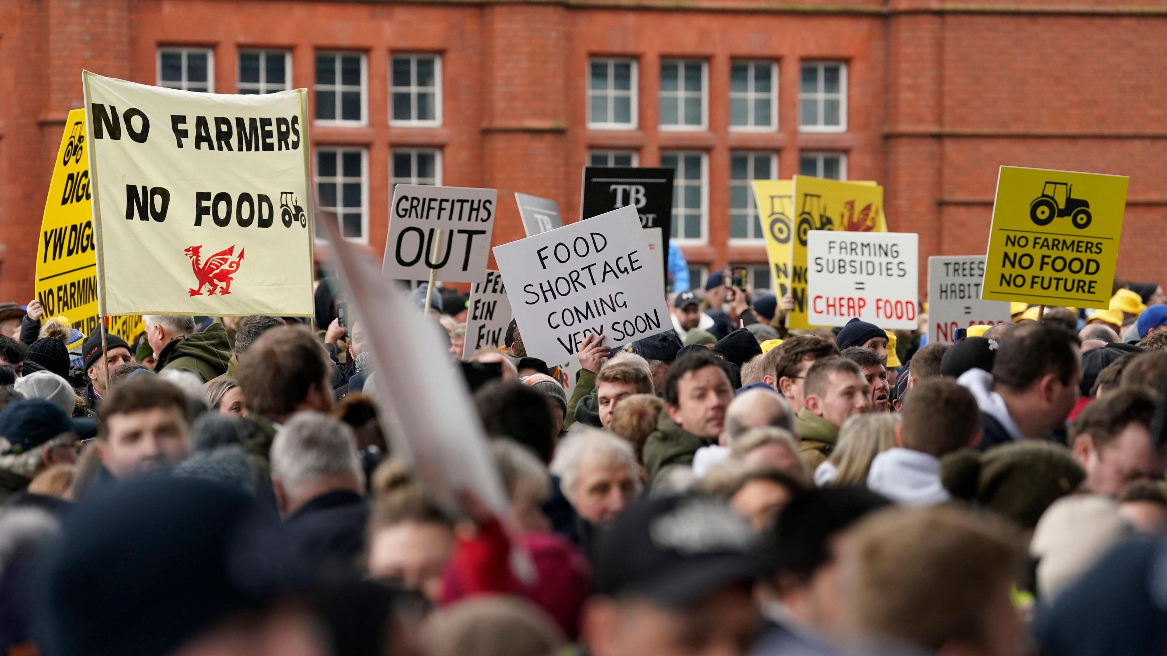 Protesting farmers gathered outside the Senedd in February 2024.