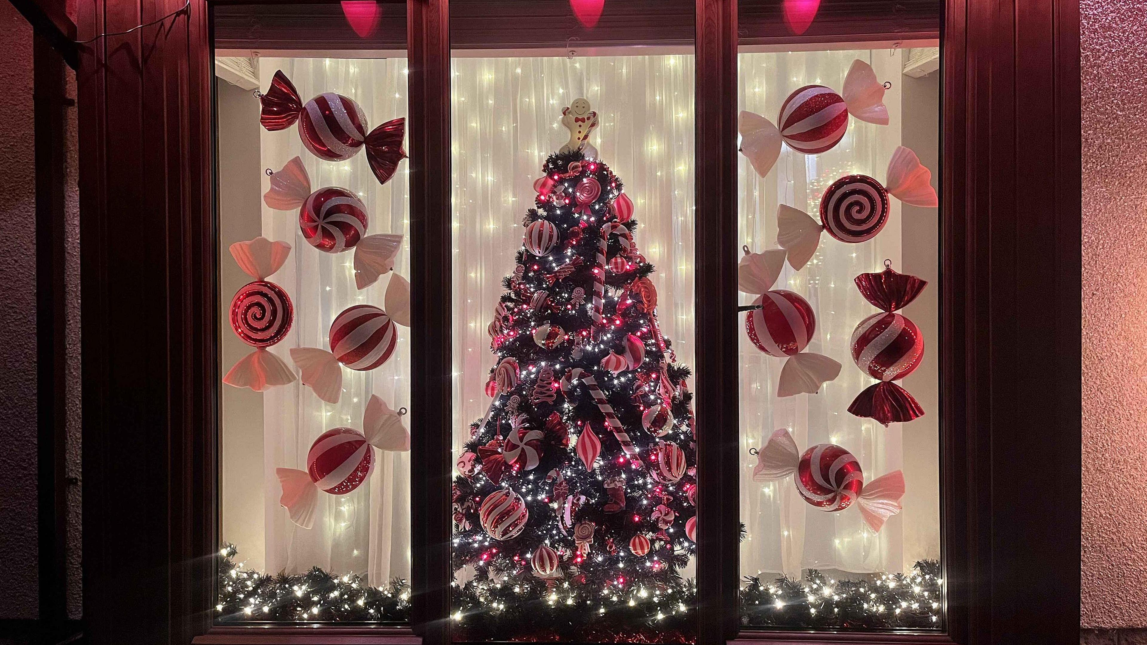 A window display which contains a large Christmas tree, decorated with red and white candy canes, red and white sweets and white fairy lights. A gingerbread man sits on the top. At the side of the tree, large red and white sweets dangle.