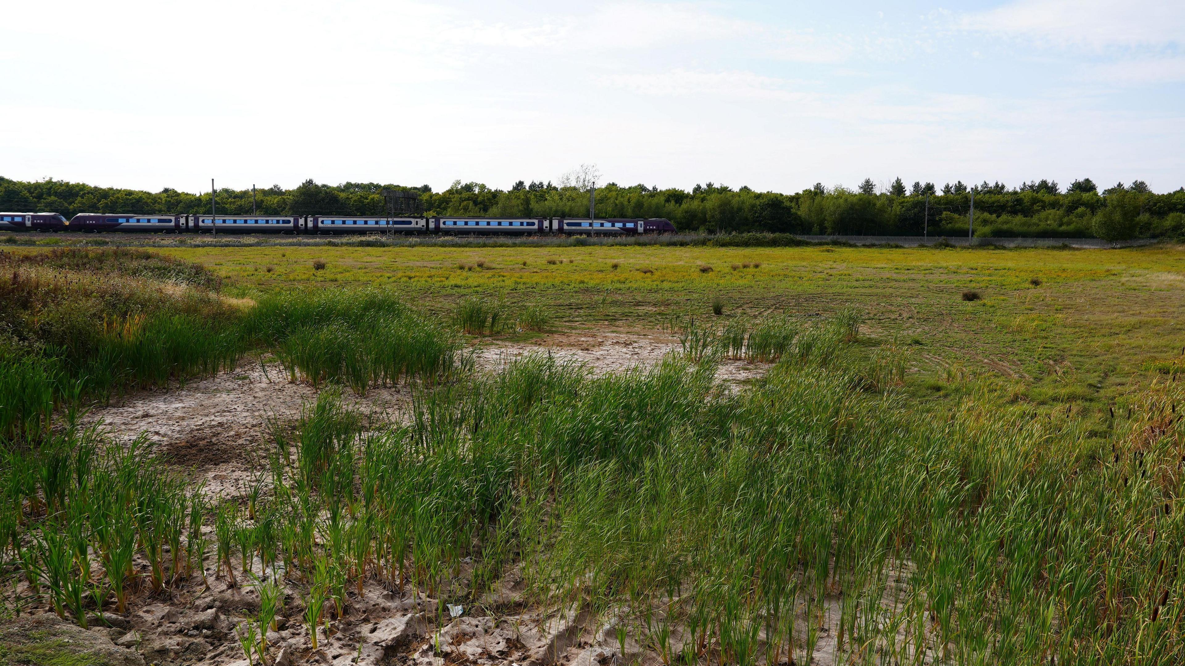 A grass field by a railway line in Wixams, Bedfordshire 