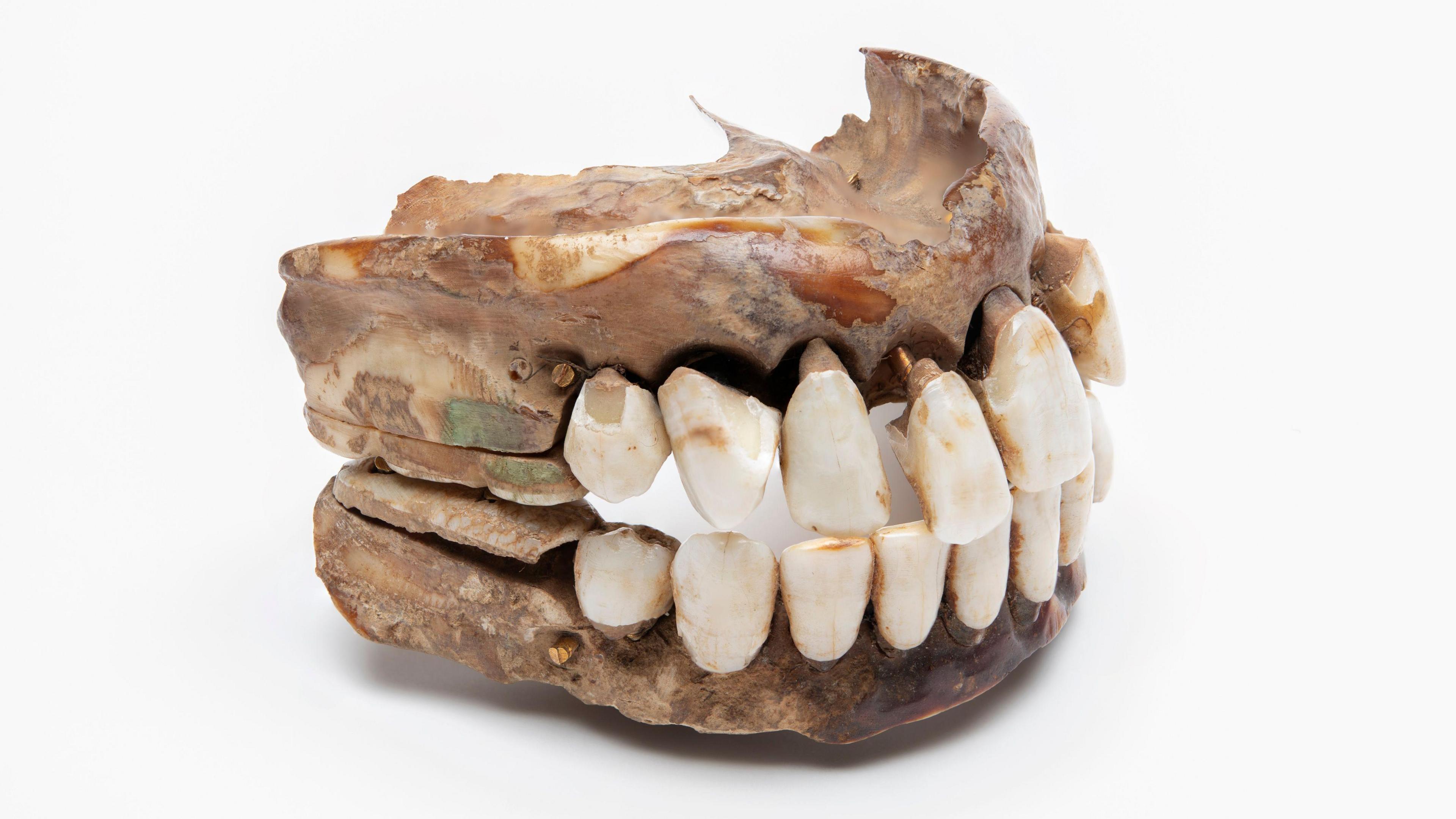 a pair of old false teeth.