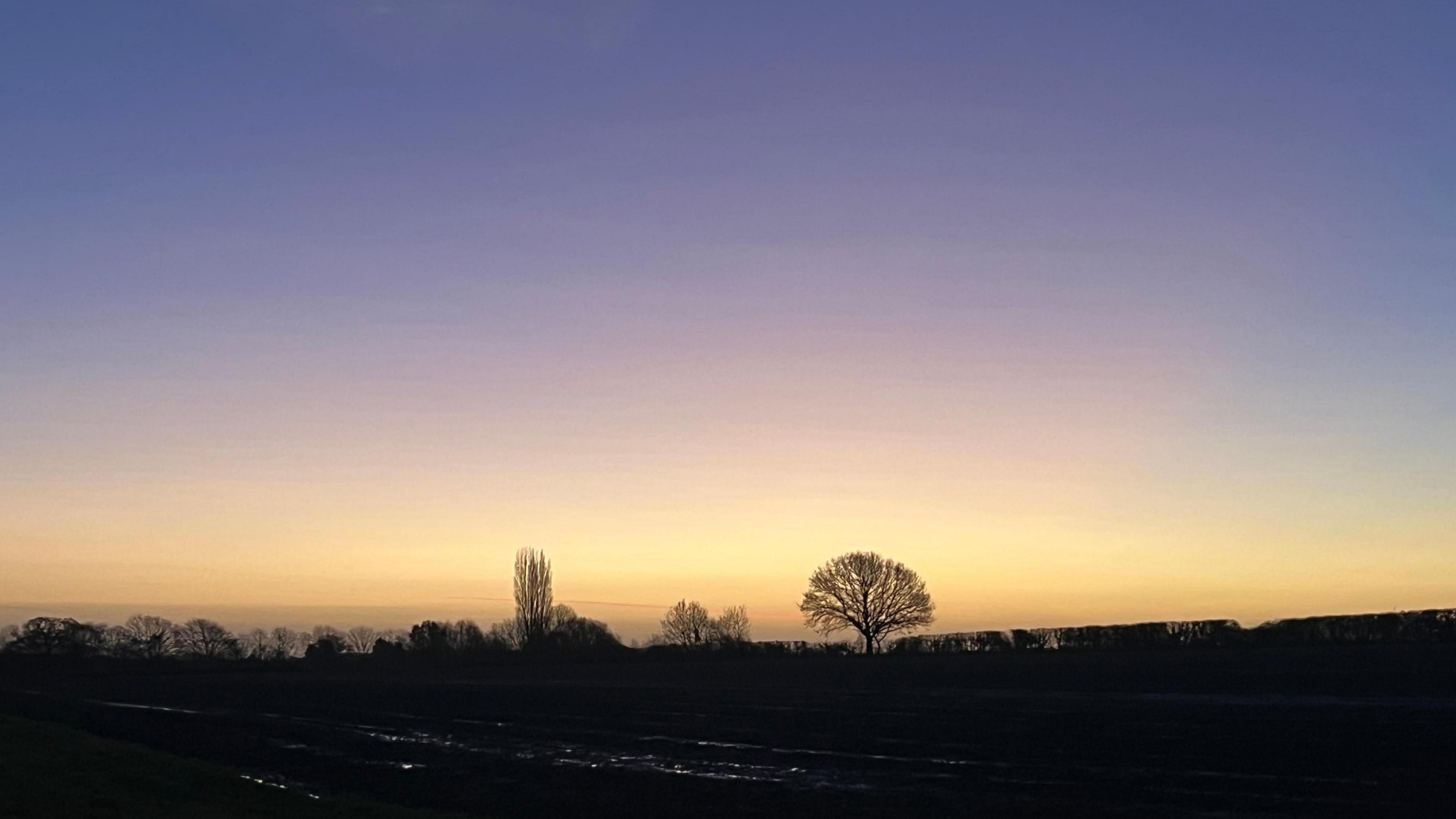 The sky at sunrise glows a purple and yellow colour over a field near Church Hanborough. The sky is clear from cloud. You can see a hedgerow and trees in silhouette against the sky. The trees have no leaves and you can see the branches clearly. 