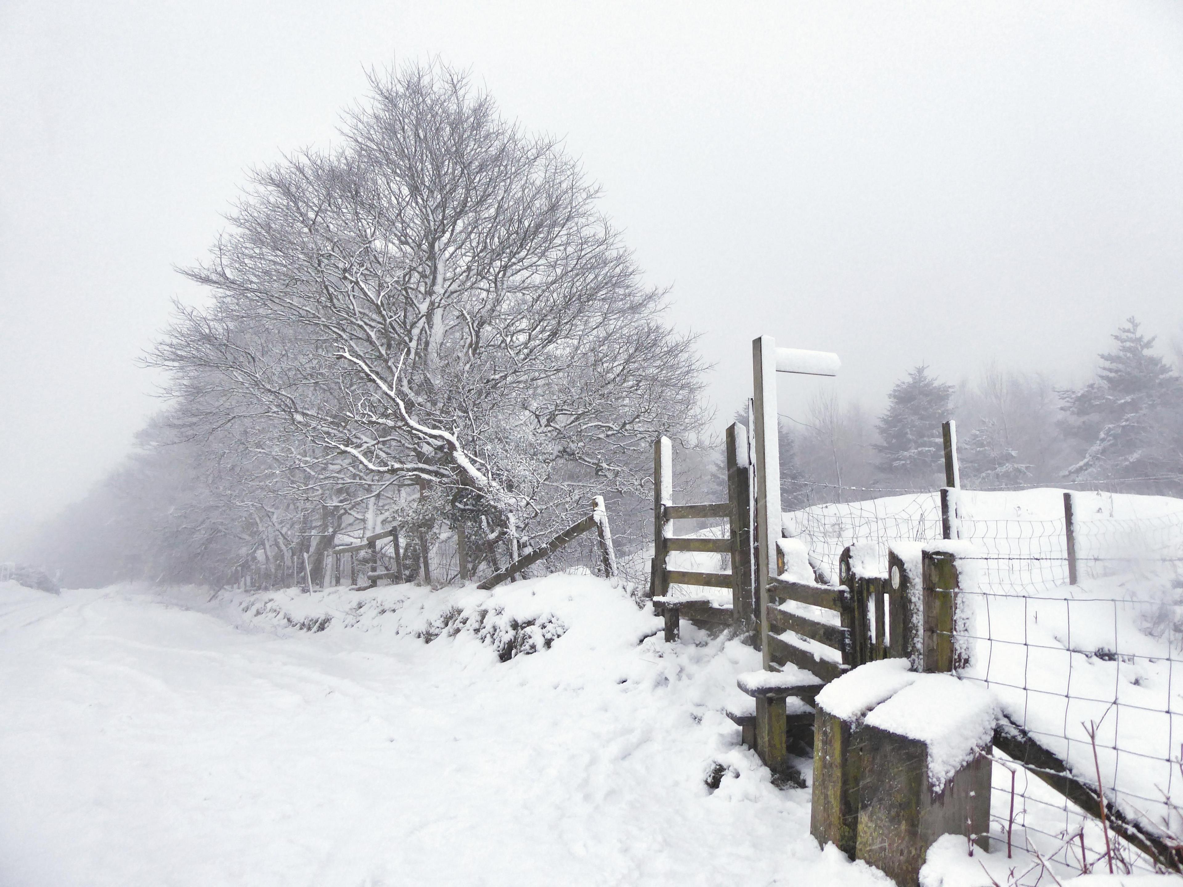 llandegla