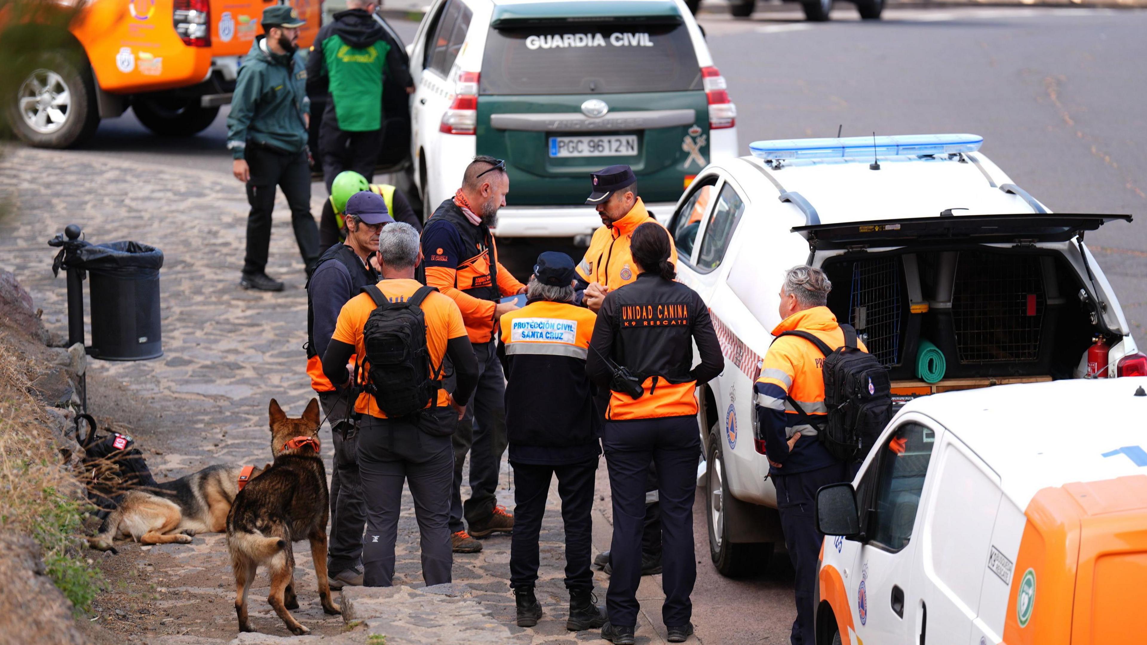 Search and rescue workers in hi-vis clothing gather next to vehicles with two Alsatian dogs beside them