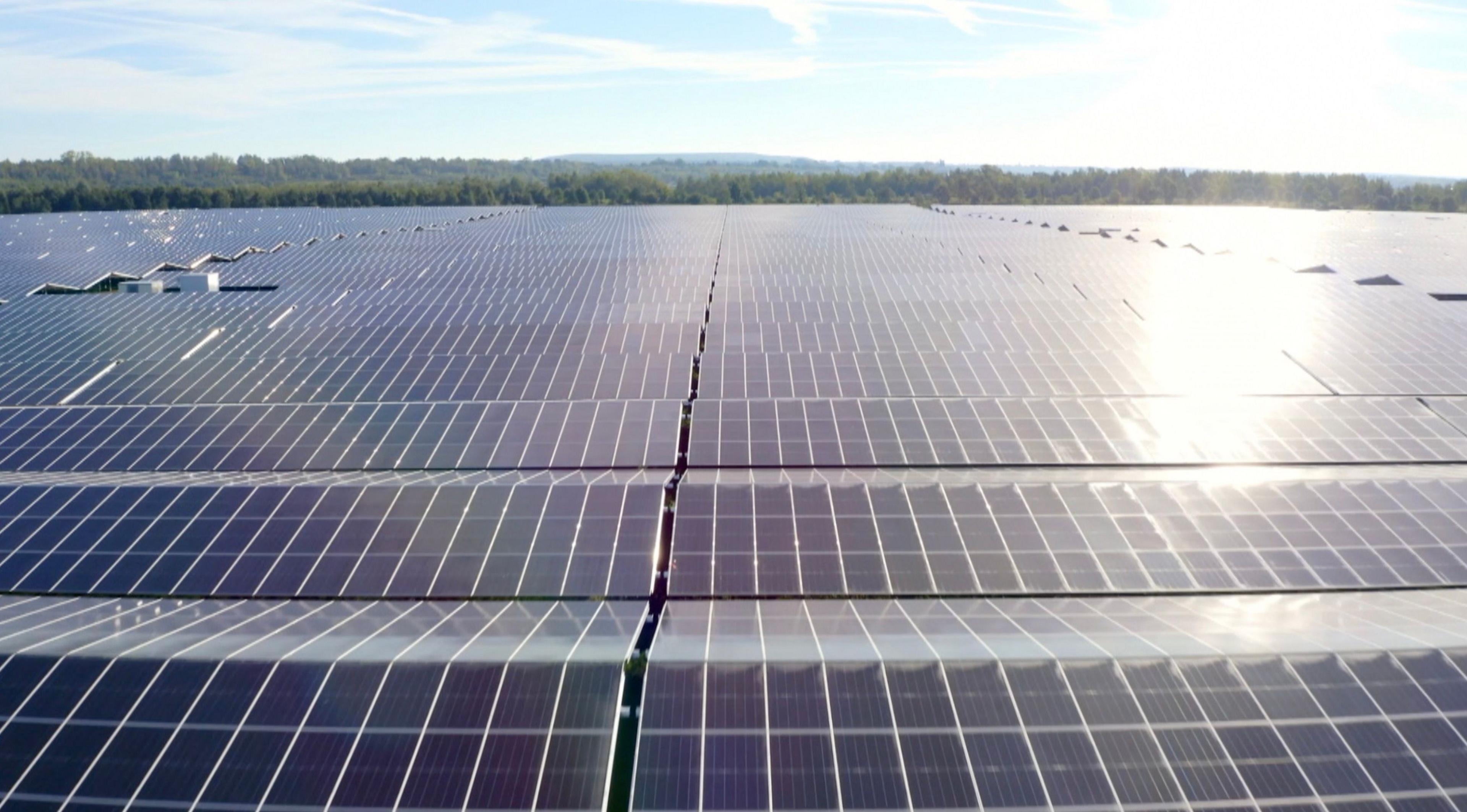 Tightly arranged rows of solar panels stretch across a rural landscape towards a band of trees in the distance. Sunlight glistens off the panels under a blue sky with wispy white clouds.