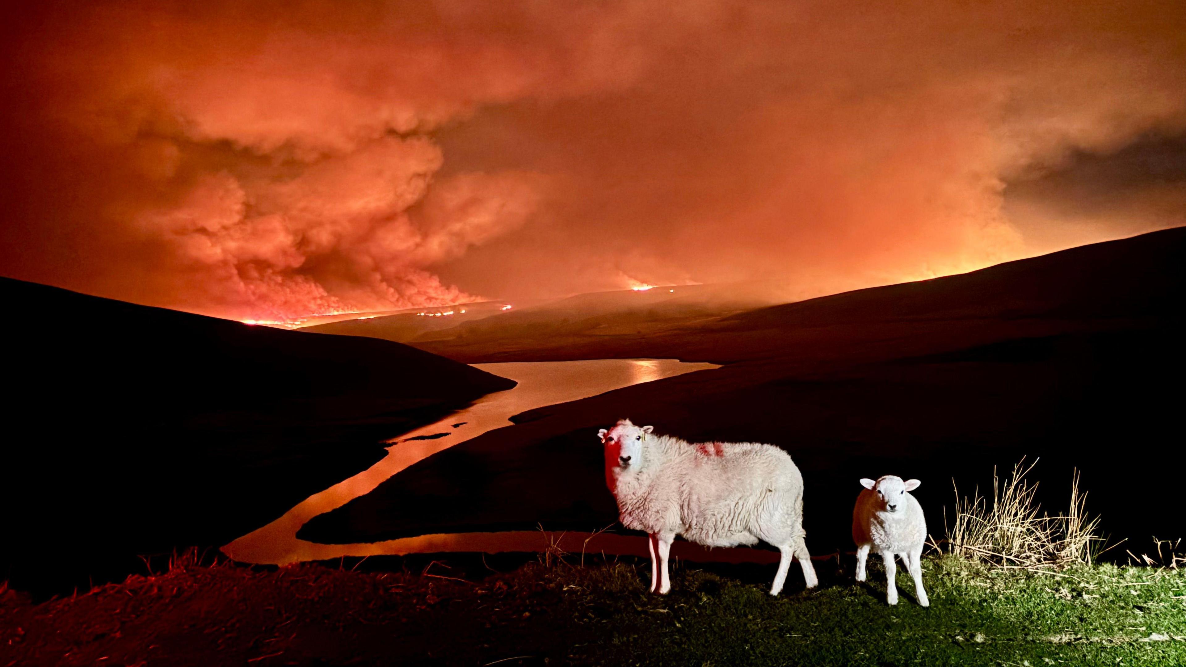 Tân ar ochr mynydd yn ardal Cwm Elan