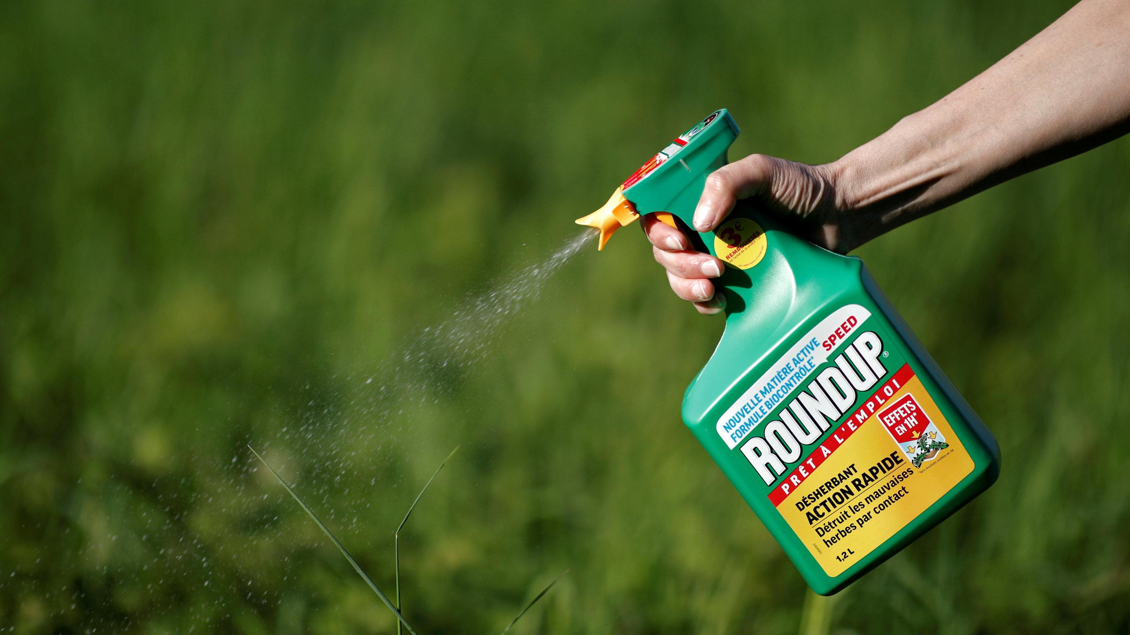 A woman uses a Monsanto"s Roundup weedkiller spray without glyphosate in