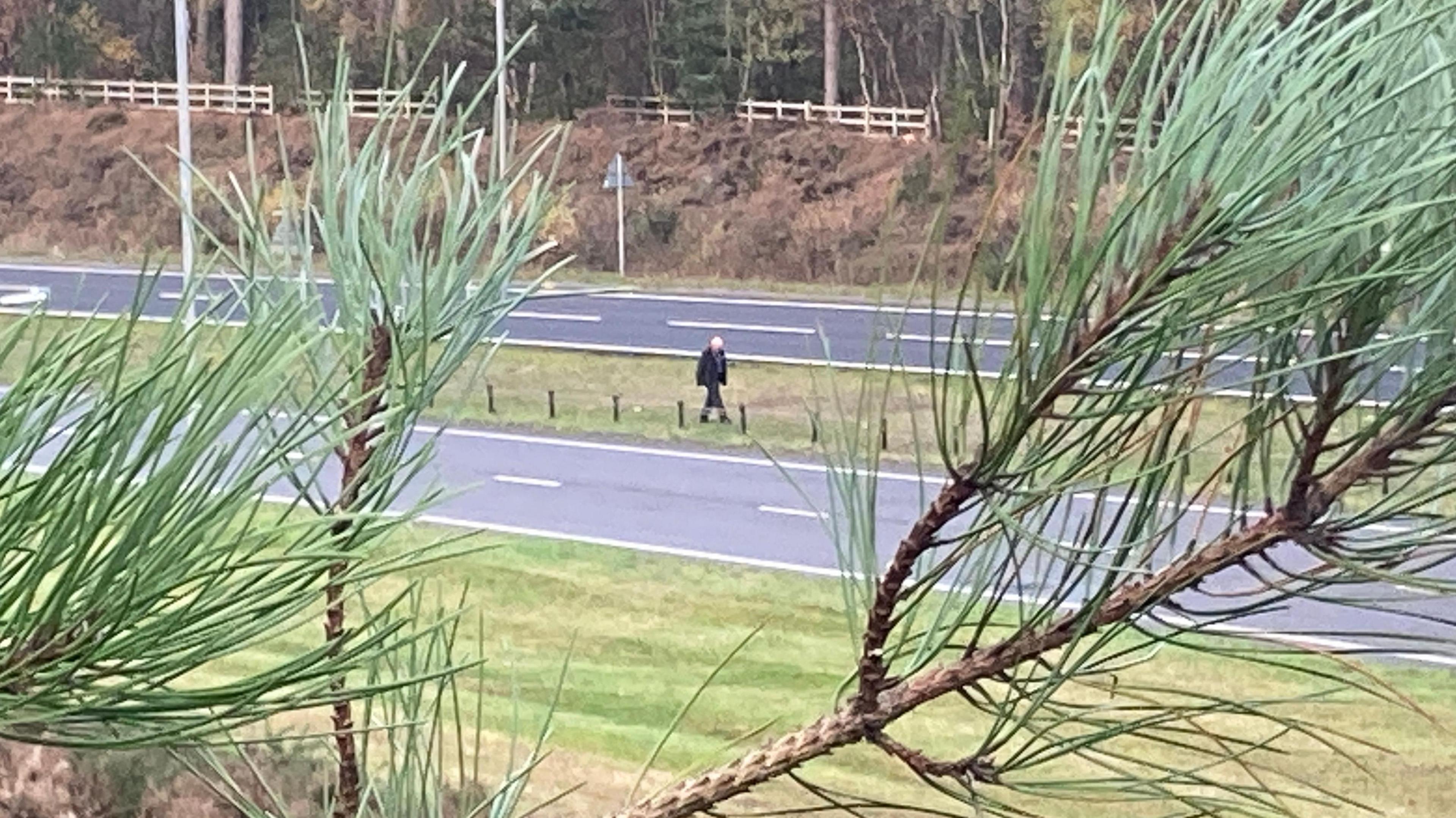 A person walks on the central reservation of a dual carriageway. We see him from between the branches of a pine tree which is in the foreground. Light green grass covers the sides of the road and the reservation, the road is grey with white markings. The person wears a dark jacket and dark trousers.