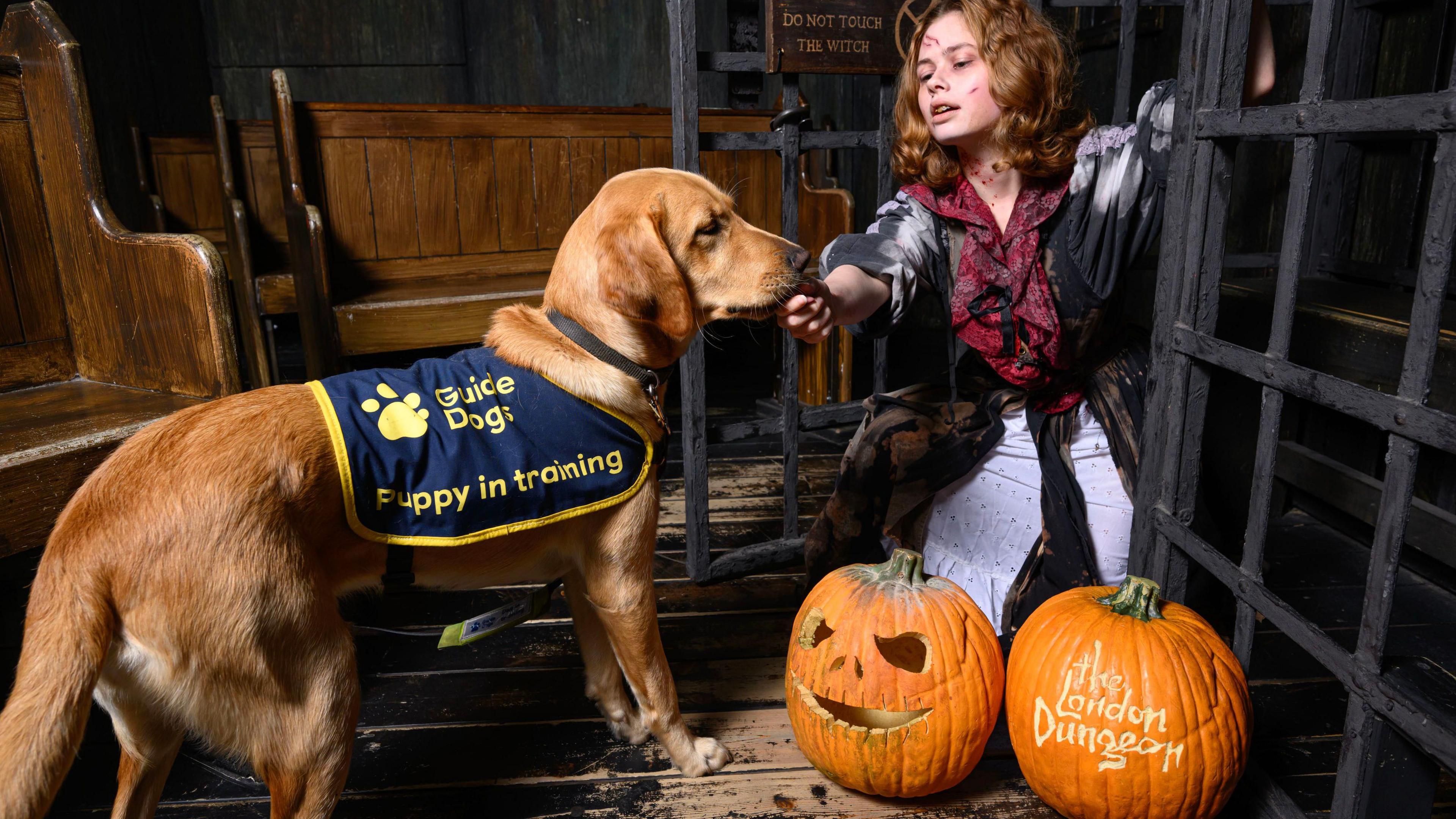 Cleo the dog and an actor dressed in a Halloween costume