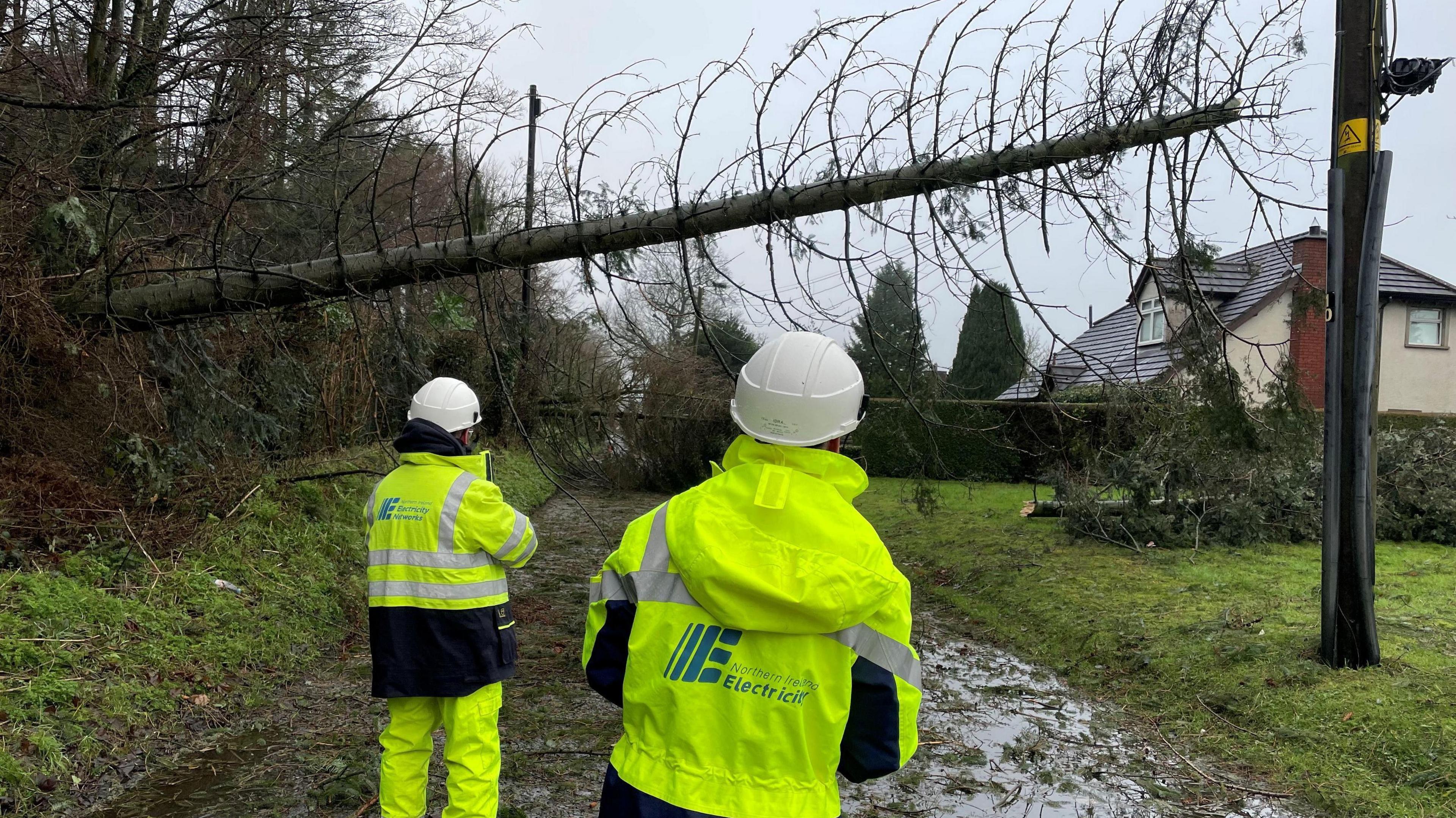 Two people wearing white hard hats and high-vis jackets with the logo of NIE Networks on the back. They are looking up at a tree that has fallen onto electricity wires