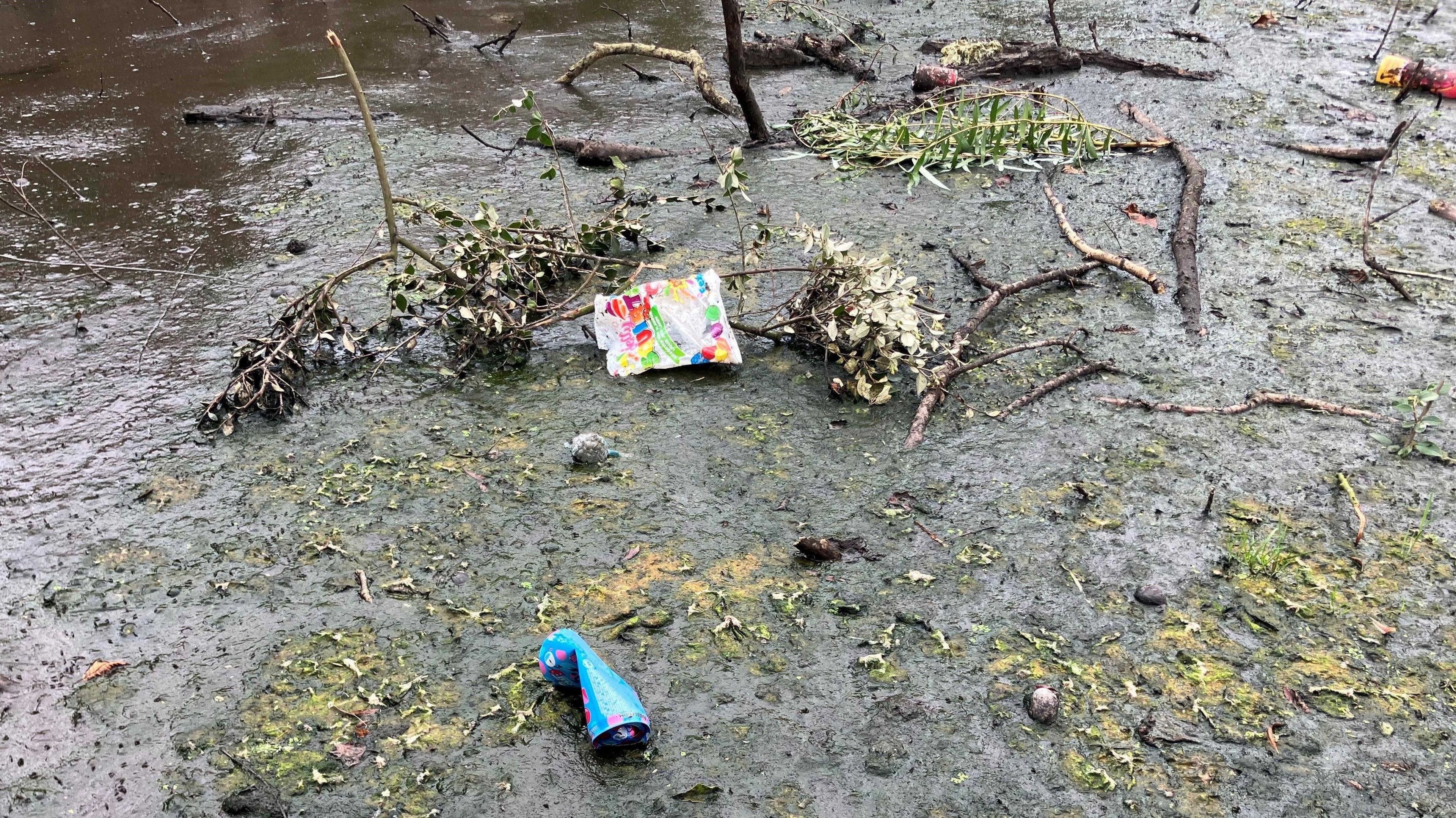 A dark green opaque pond with very little reflection due to the grime on the surface, an empty packet of sweets and a crushed can is among some semi-submerged branches