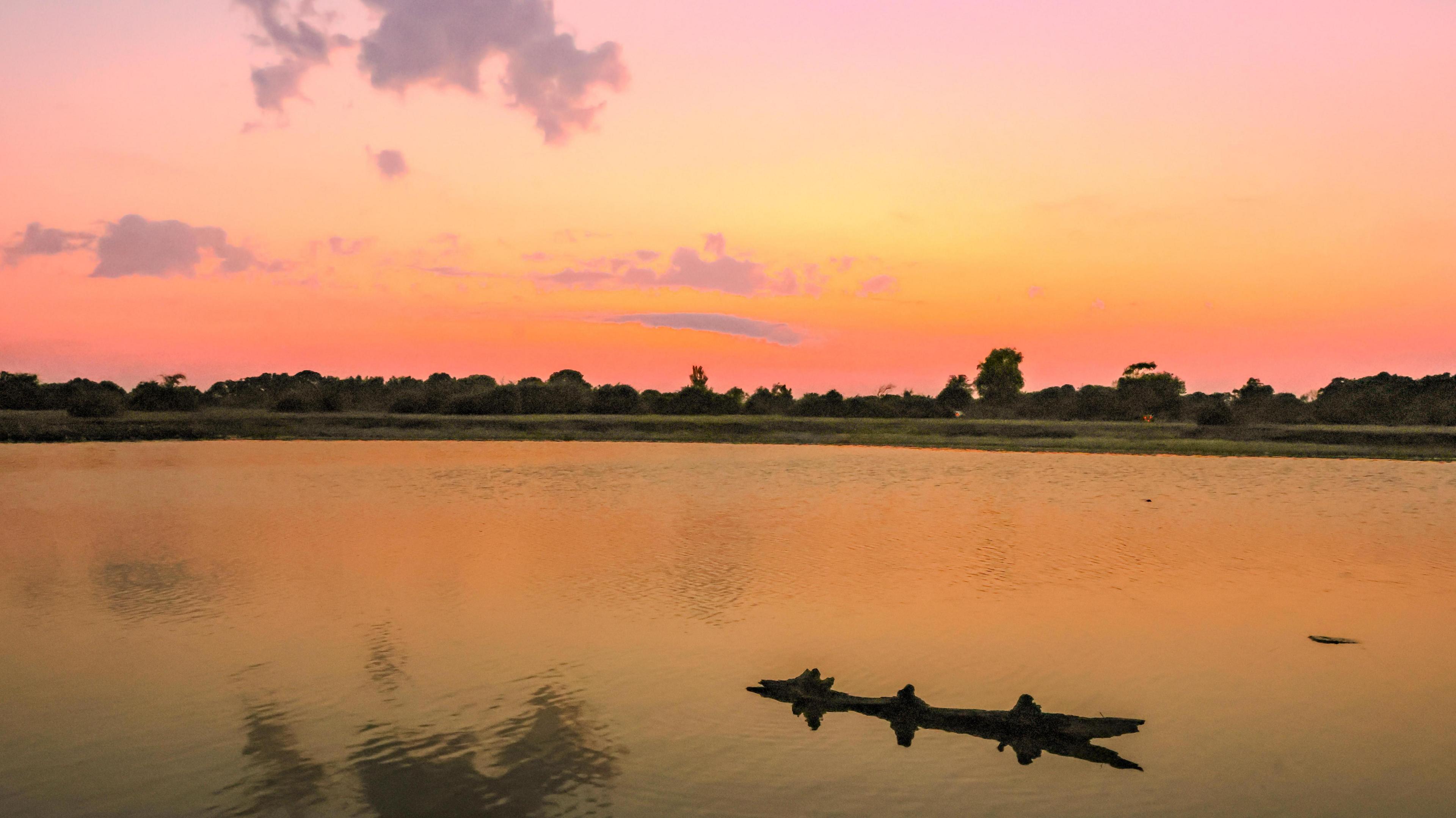 Orange and pink hues fill the sky and cast a glow over the water of a lake in the New Forest. On the horizon heathland and trees can be seen, while in the foreground a piece of wood emerges from the water.