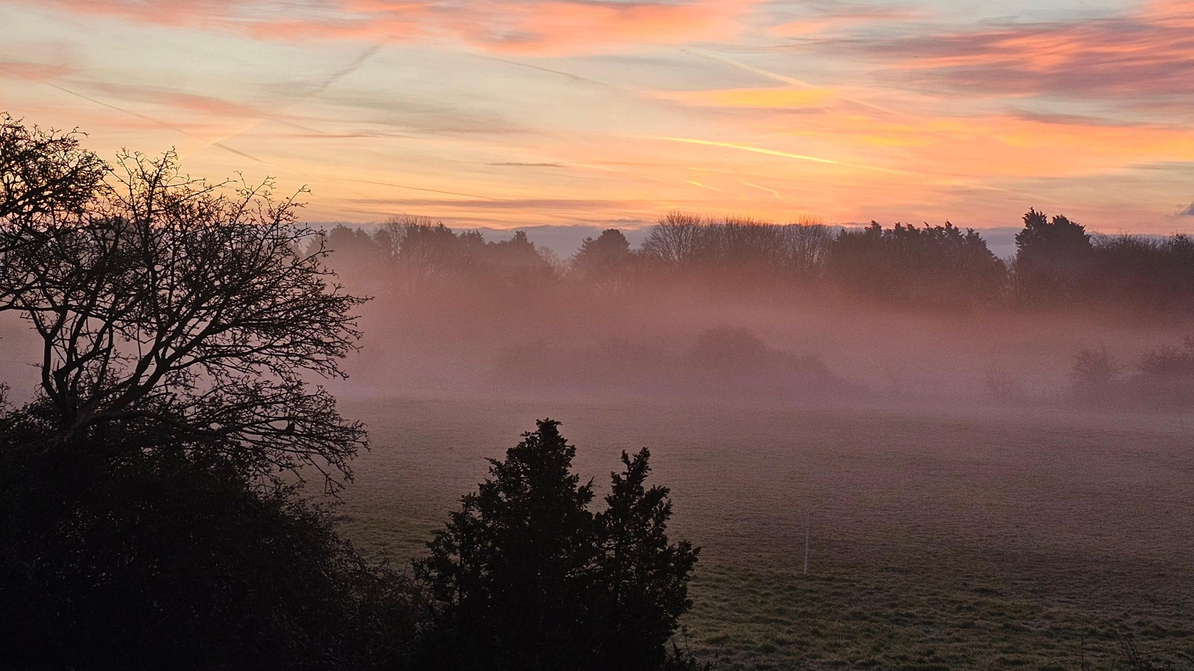 Beautiful winter sunrise over fields with a low mist and trees in the fore and background.