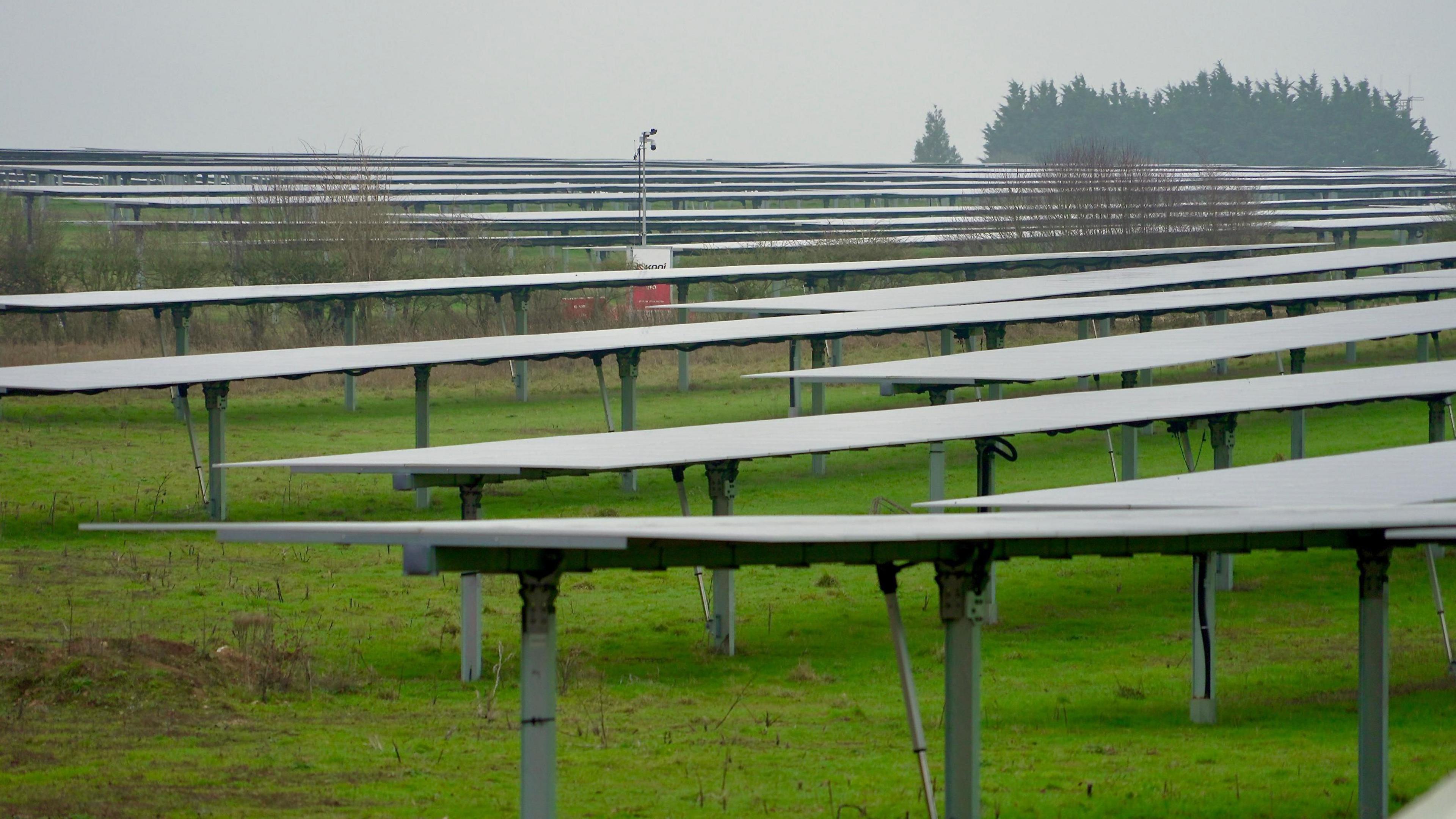 A view of a solar farm at Euston Estate Norfolk. Rows of panels stretch into the horizon on a grey cloudy day.