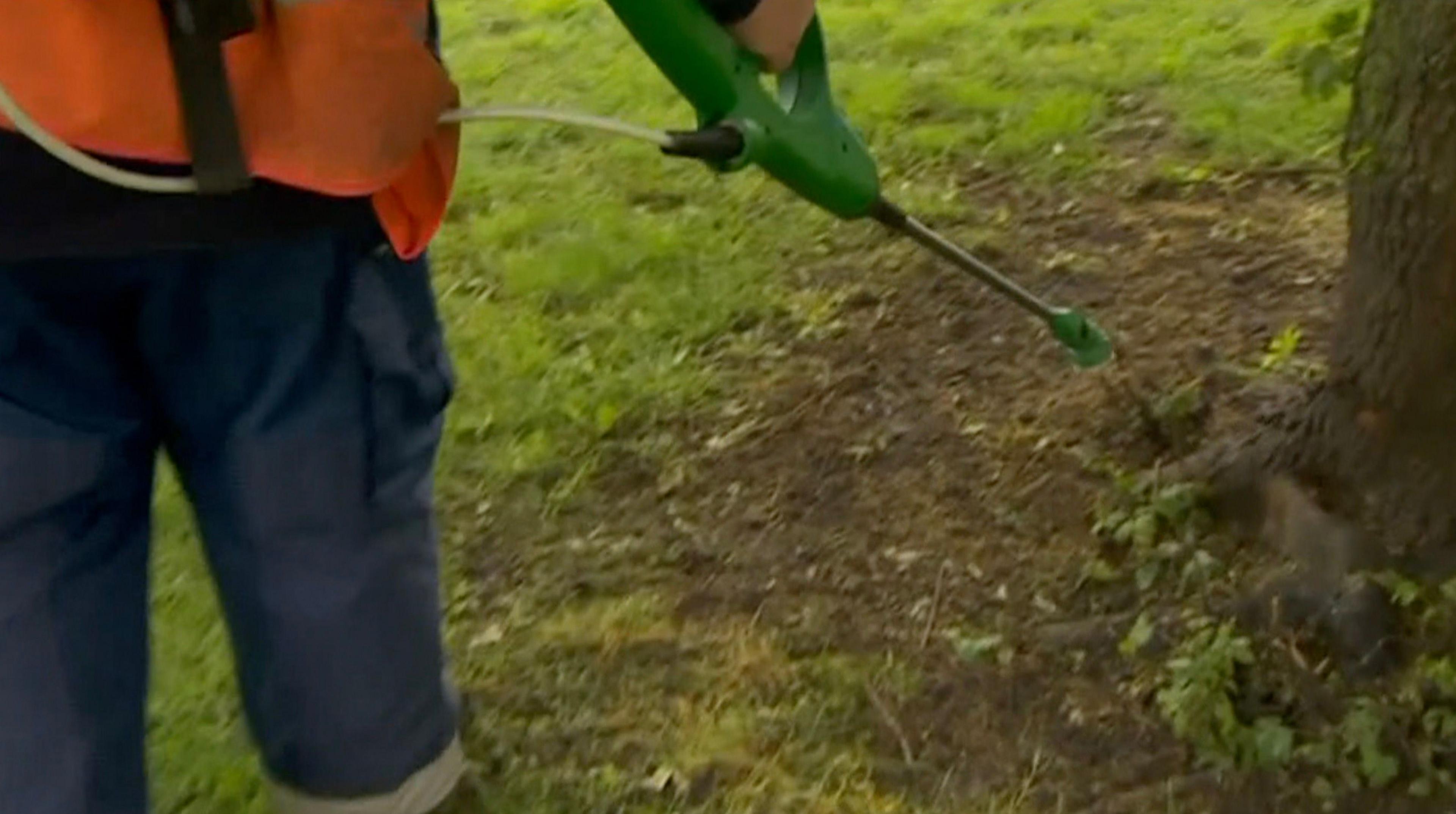 A person wearing blue council-work trousers and an orange vest is spraying weedkiller on to the ground next to a tree