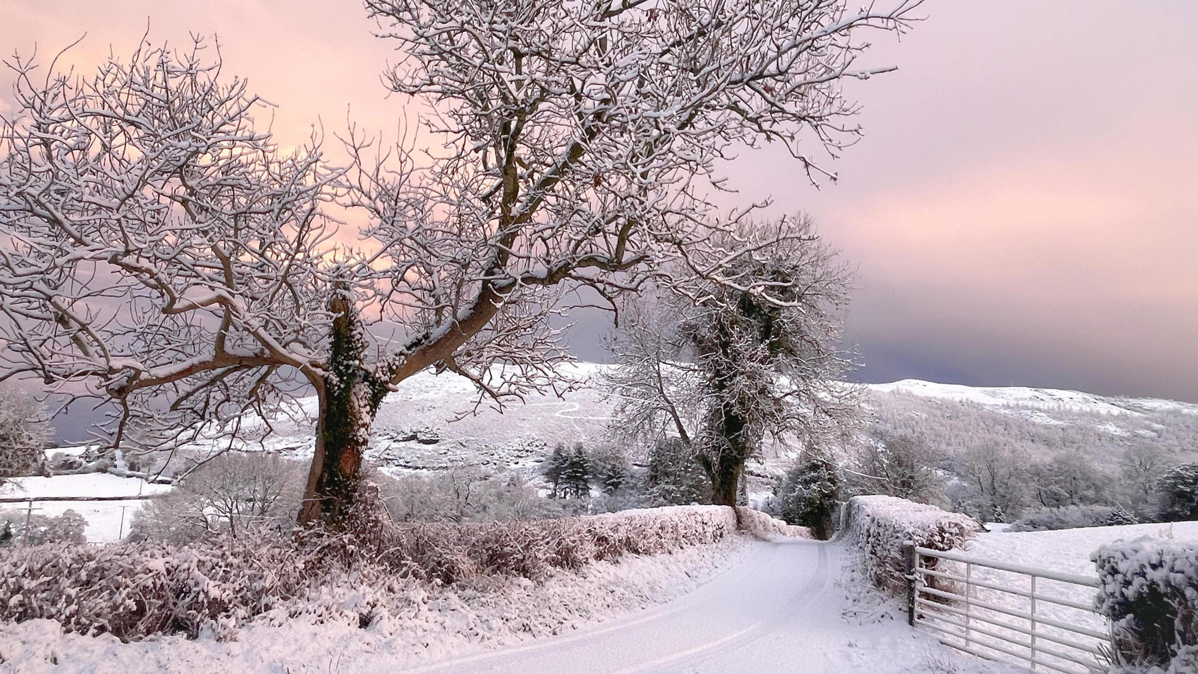 snow coveres a tree fields and a farm gate on a country lane with snow covered hedgerows 