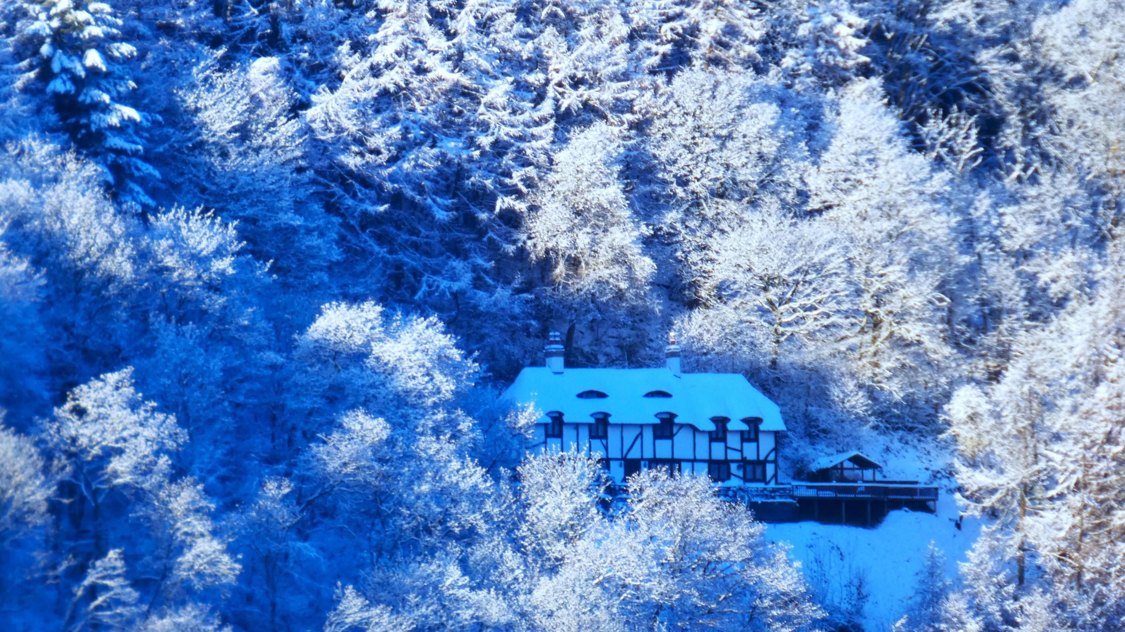 Snow-covered Tudor house surrounded by snow-covered mature trees
