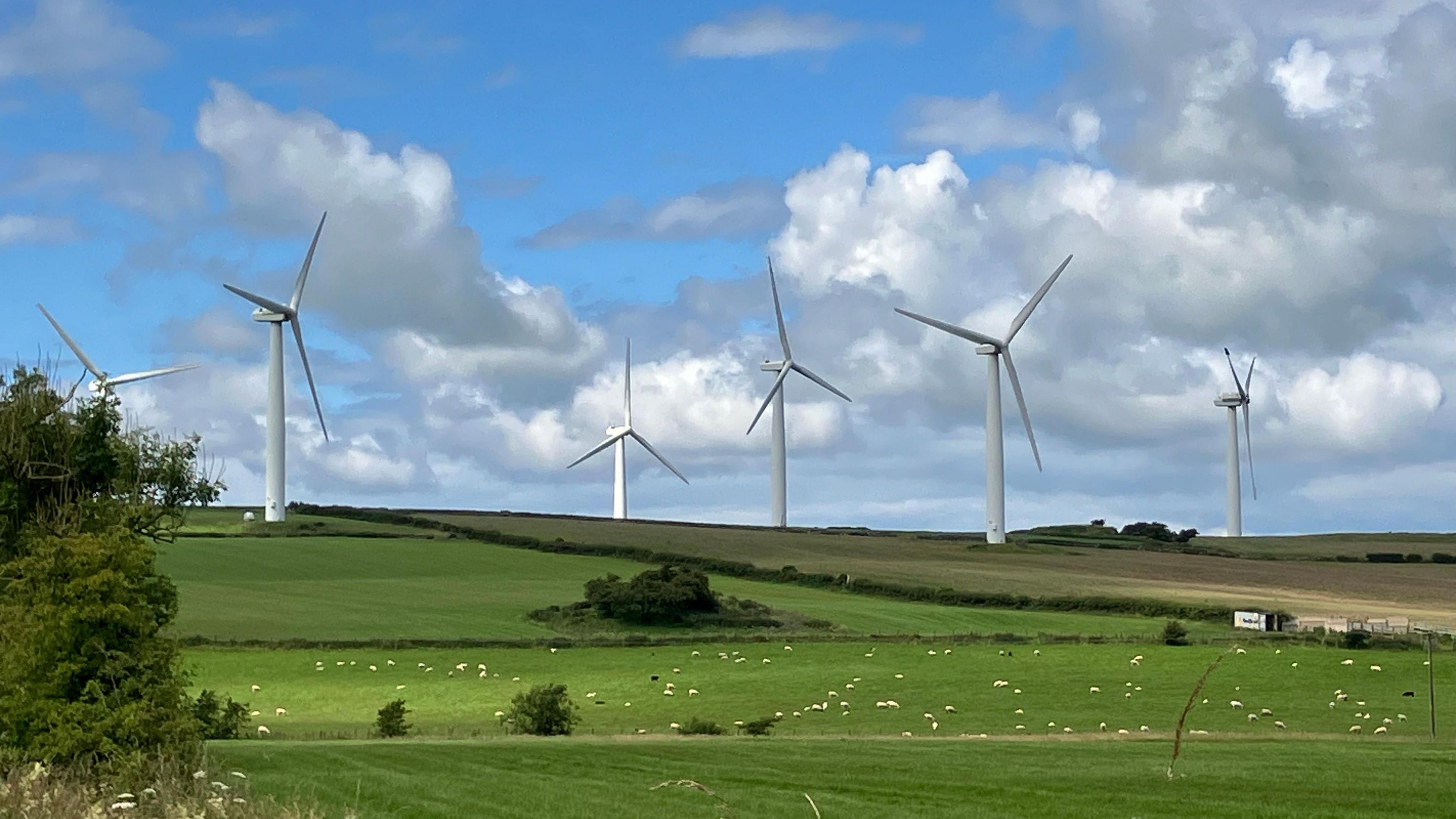 Wind turbines in a field