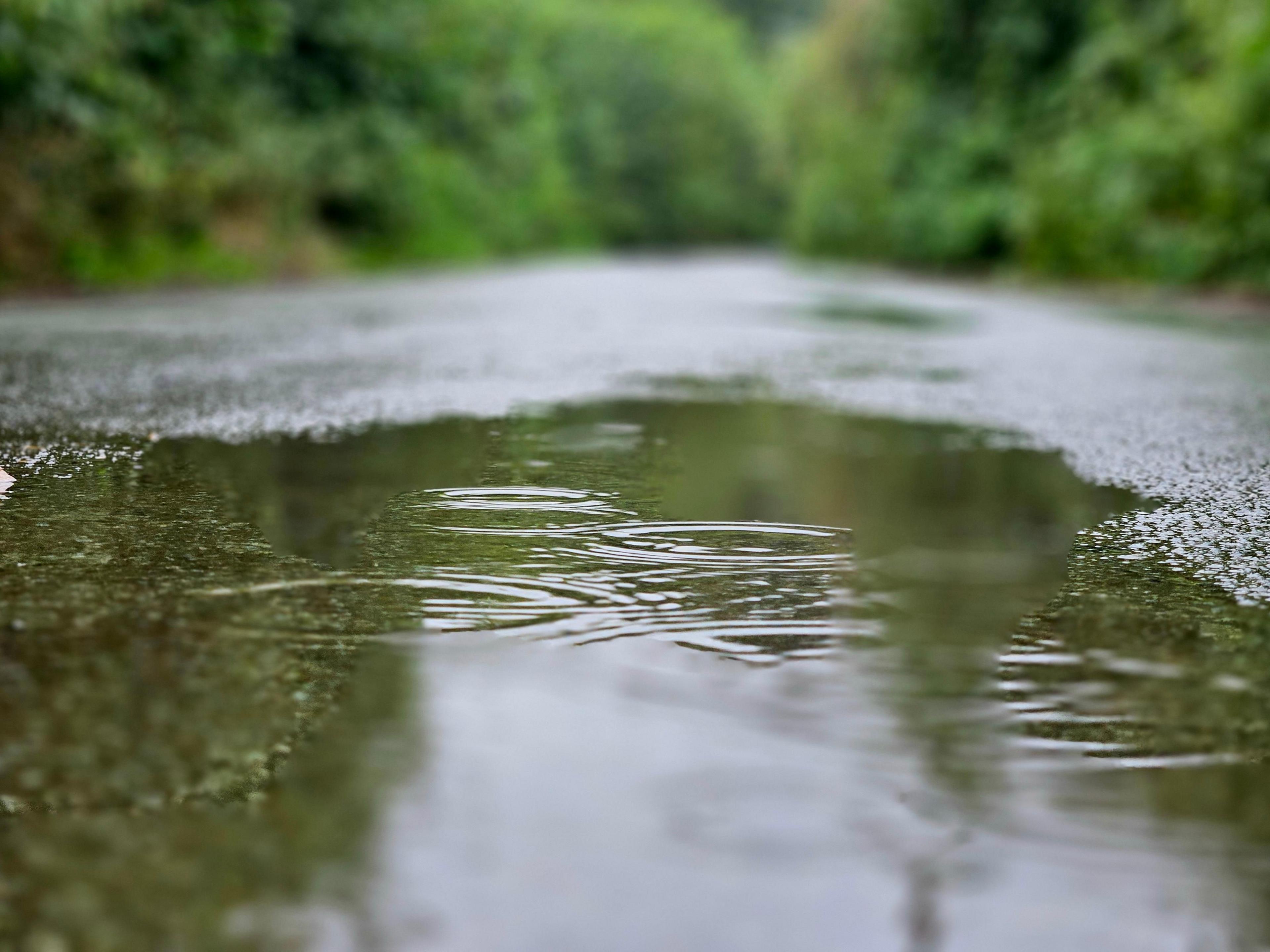 Close up of rain drops falling on a puddle