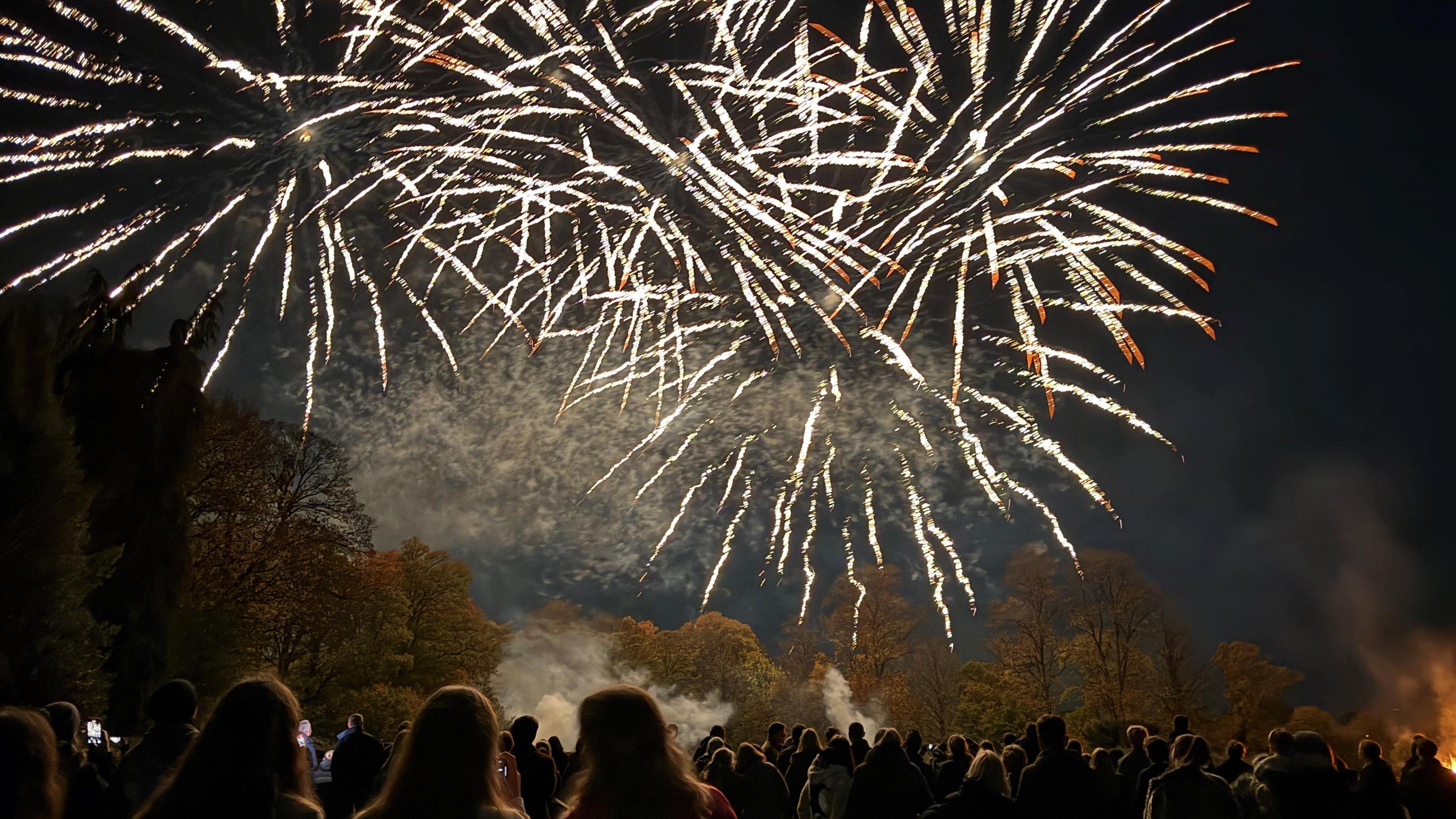 Silhouettes of people stood beneath a dark sky and three fireworks with thin streams of golden light with red tips.
