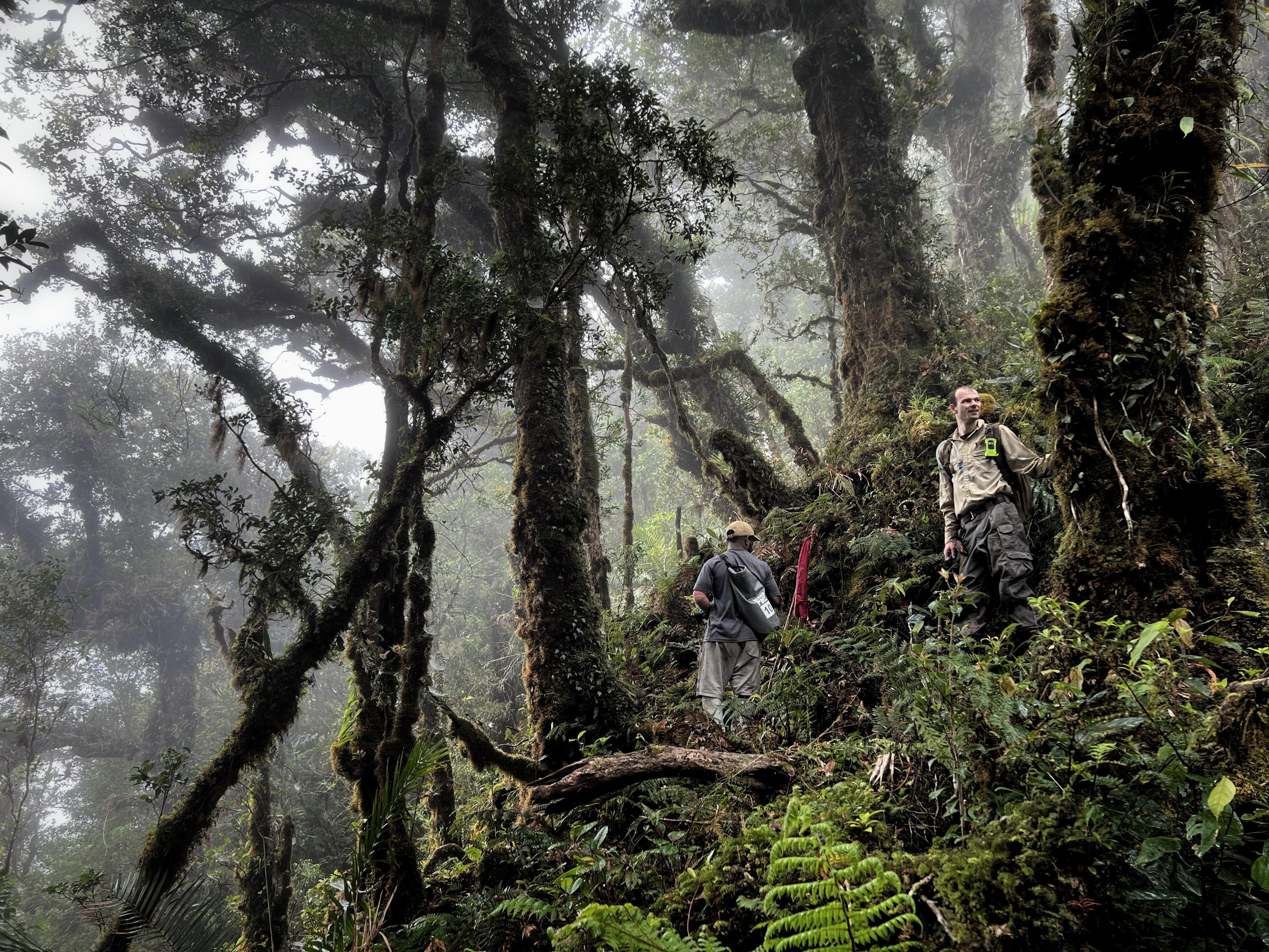 Climbing the Cyclops Mountains