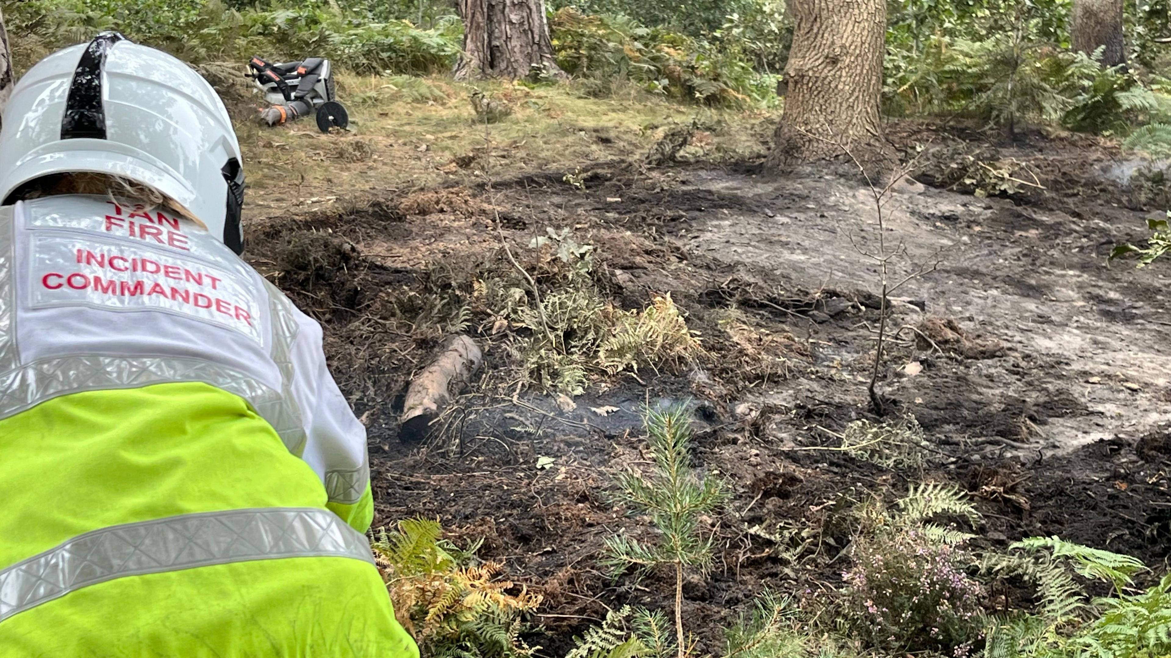 A fire crew person in a heavy jacket and helmet  stoops in front of an areas of scorched ground and burnt trees in ash