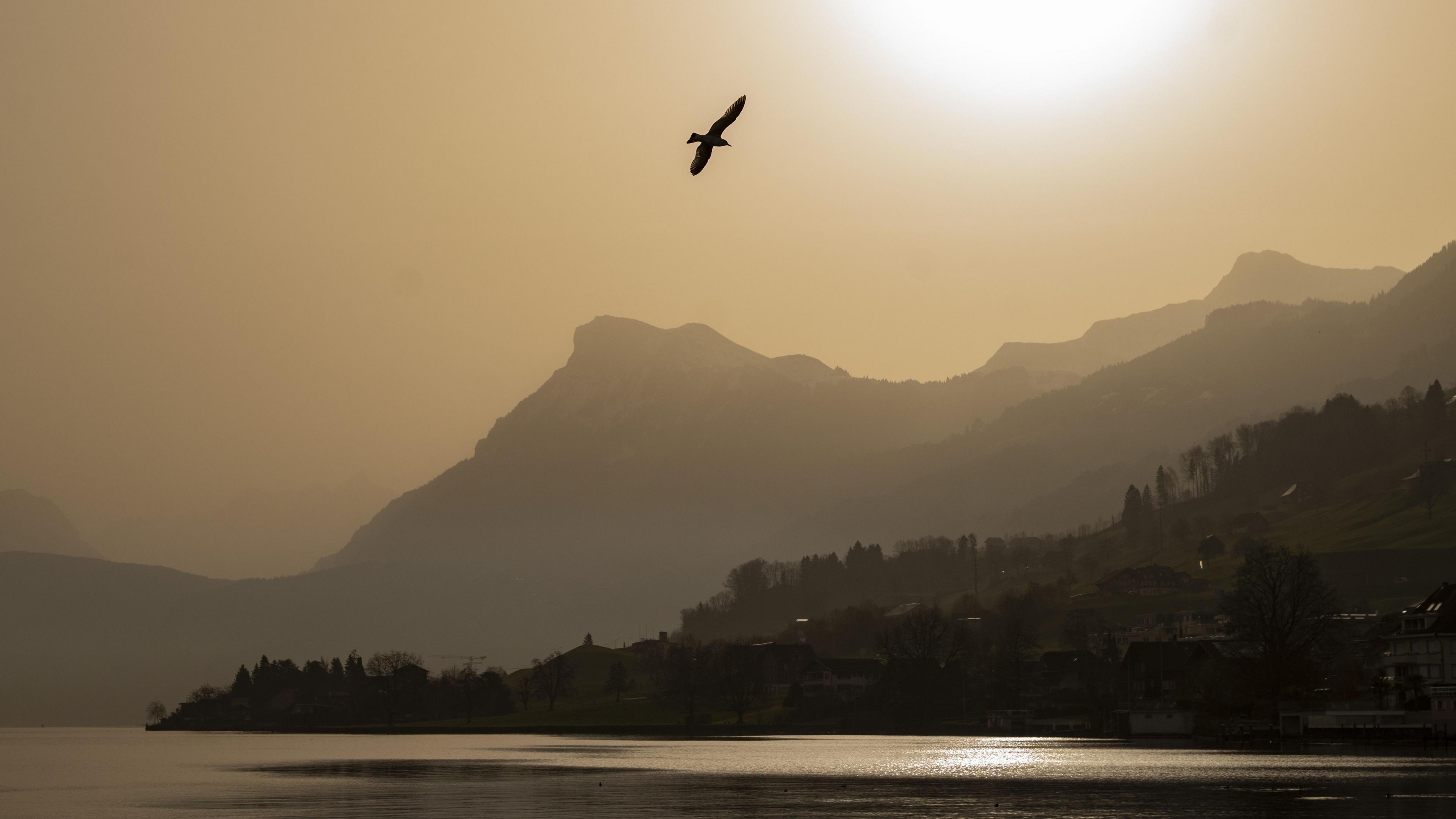A lake with bird soaring in an orange smudged sky with a backdrop of mountains