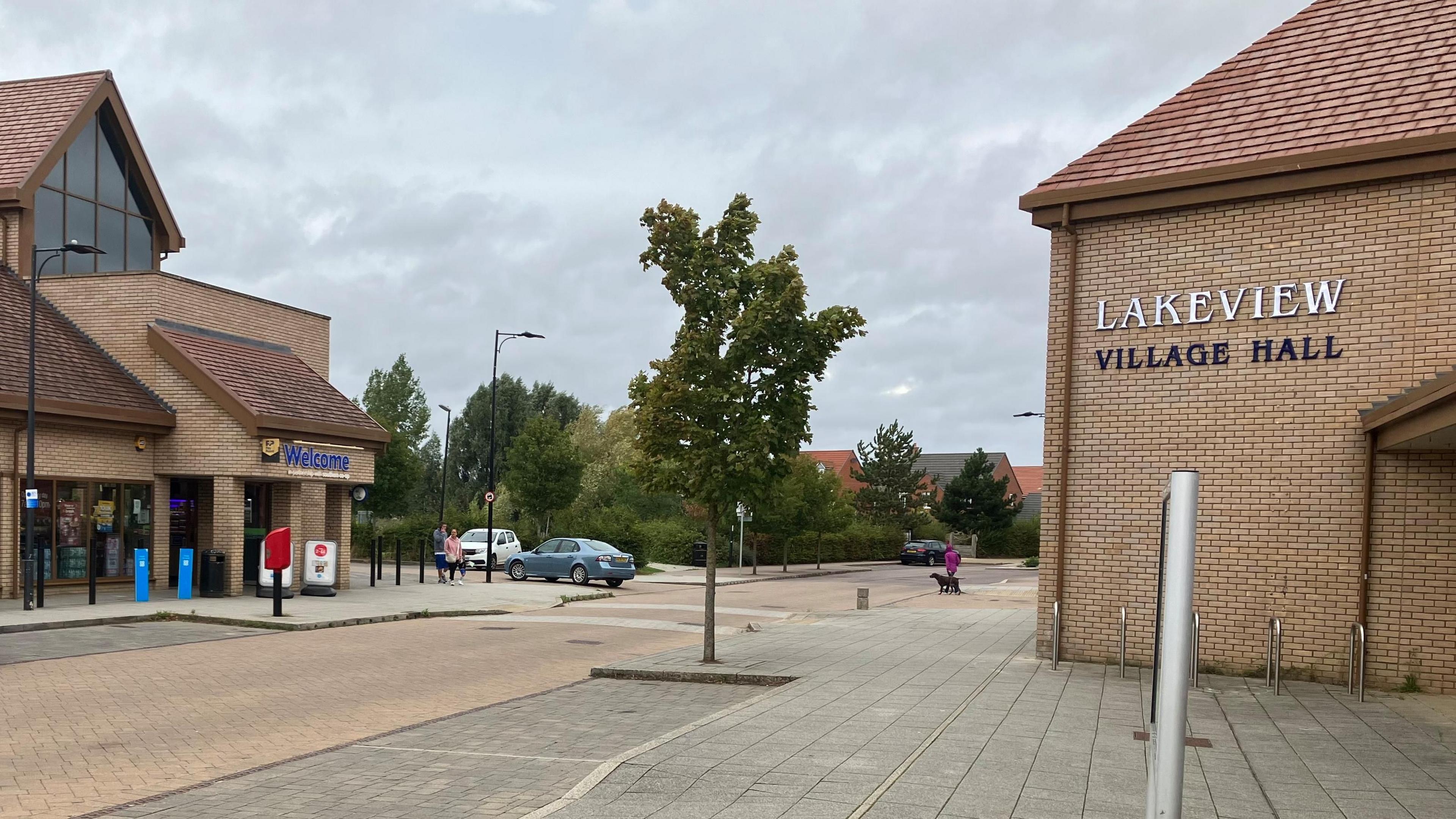 There is a village hall on one side of the road with shops on the other side. In between the two there is a small tree and some car parking spaces.