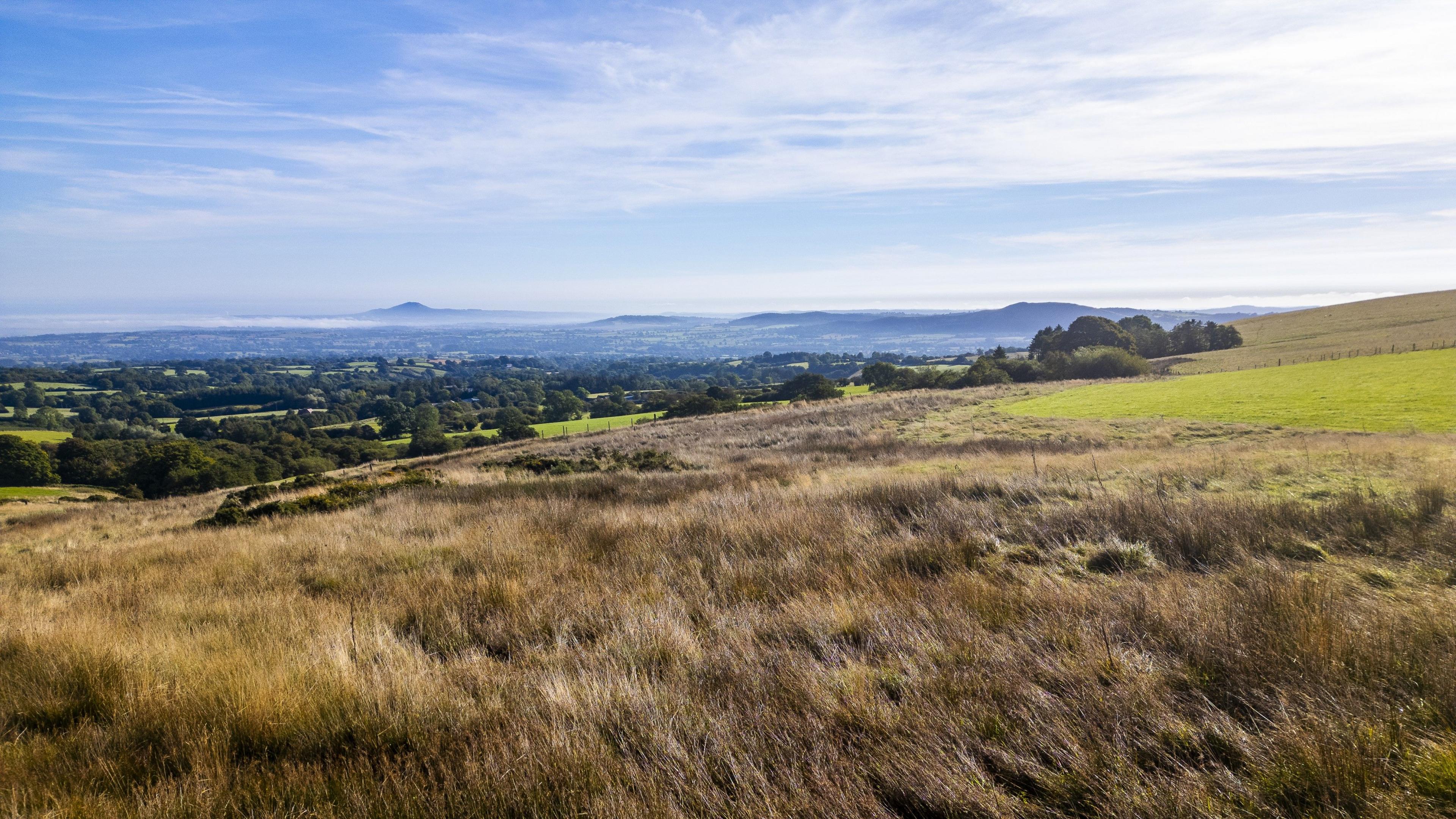 A large piece of land with brown grassland in the foreground. In the background are green fields and lots of green trees. In the distance is a large hill with mist and cloud covering its mid section