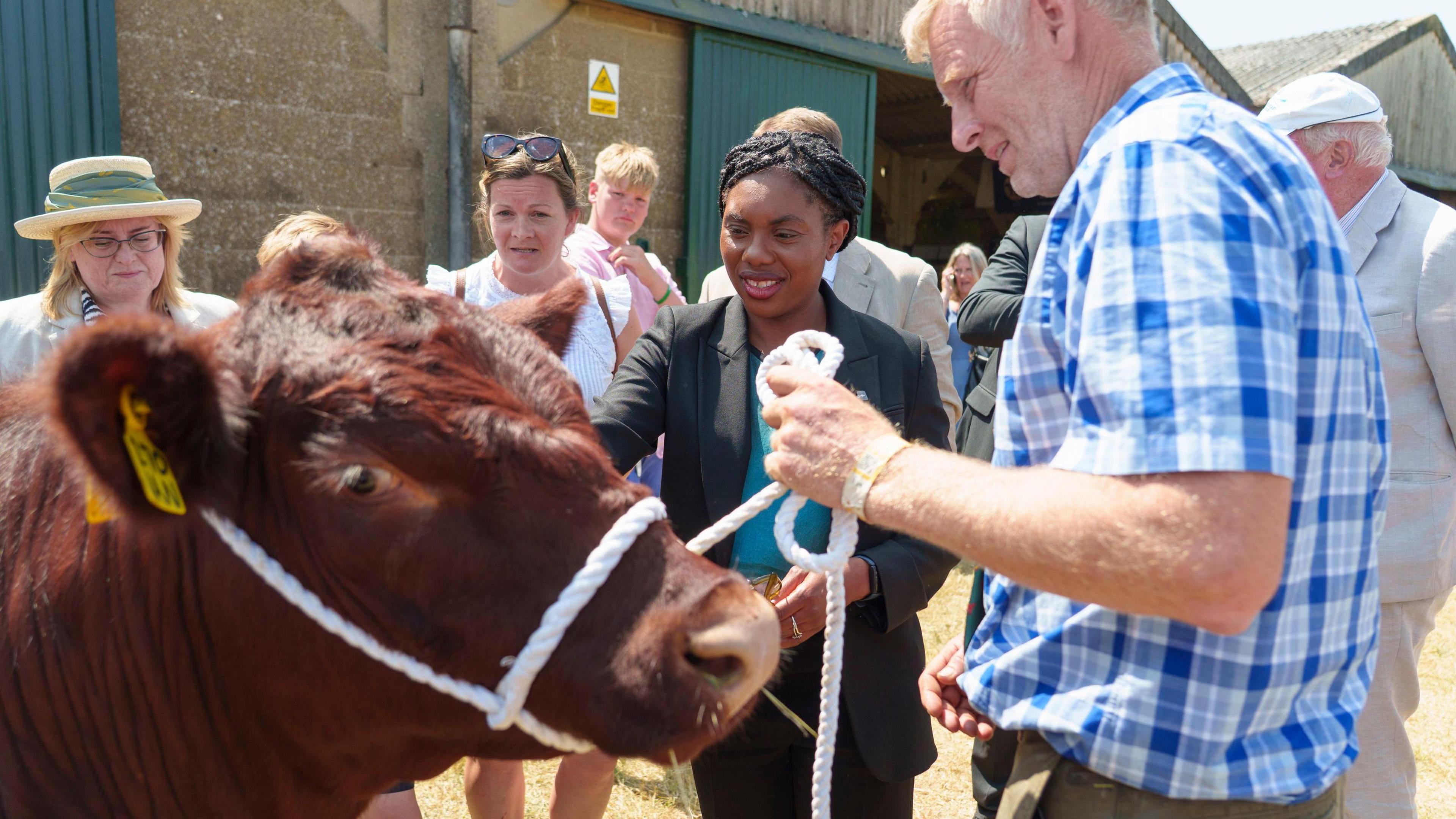 A man in a checked shirt holding a brown cow on a leash while a woman pats it on the the side. There is a crowd of people standing in the background looking on.
