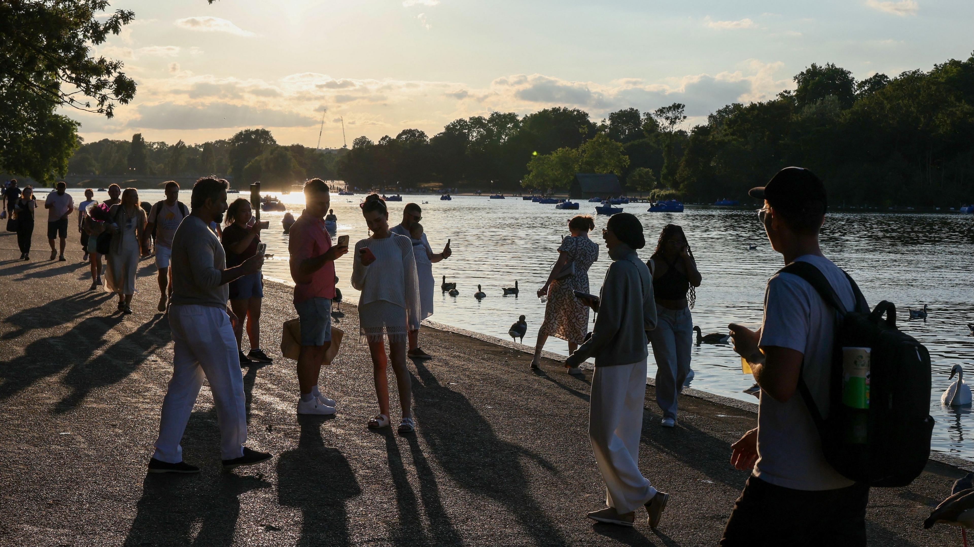 A crowd walks along the Serpentine in the evening light. It is sunny and lots of ducks, swans and pedalos are in the water.