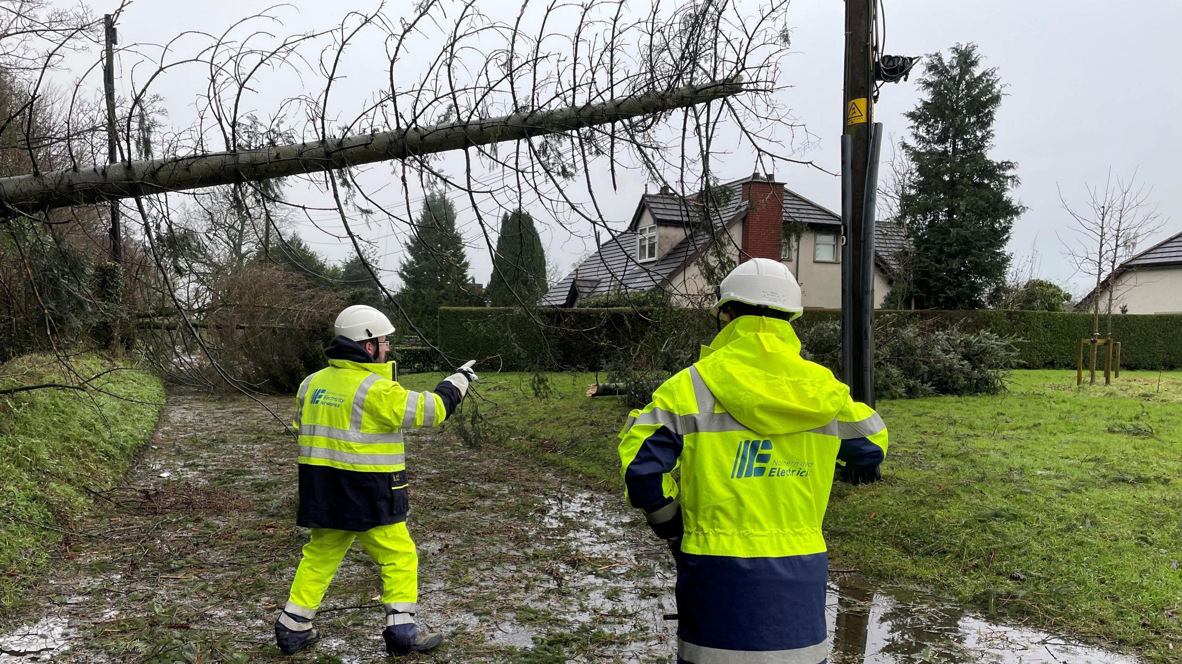 Two men with white hard hats and high vis yellow jackets look at a tree with their backs to the camera. A large brown tree lies across a road. A white house is visible in the background.