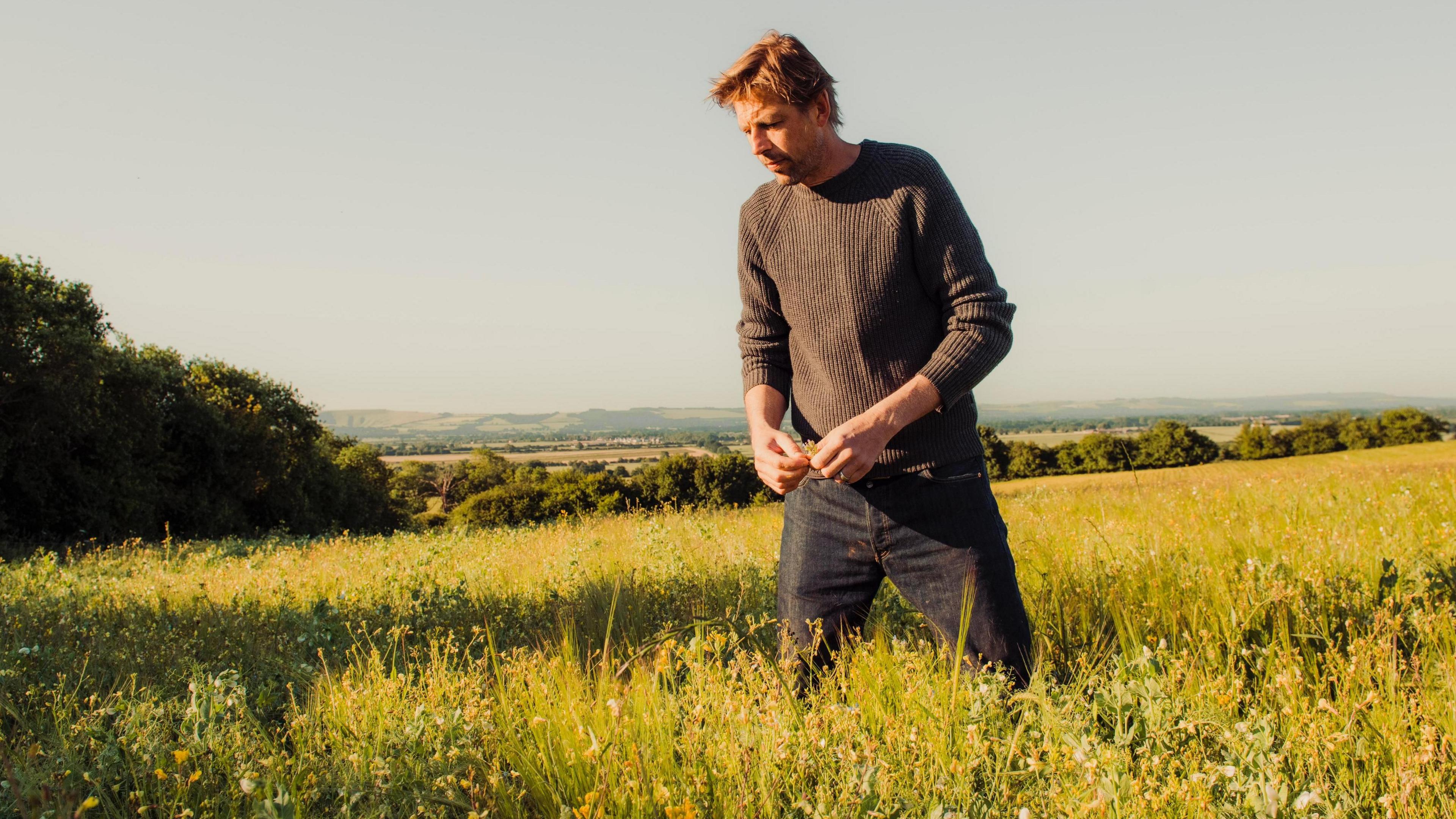 Andy Cato tending to a regeneratively farmed field.