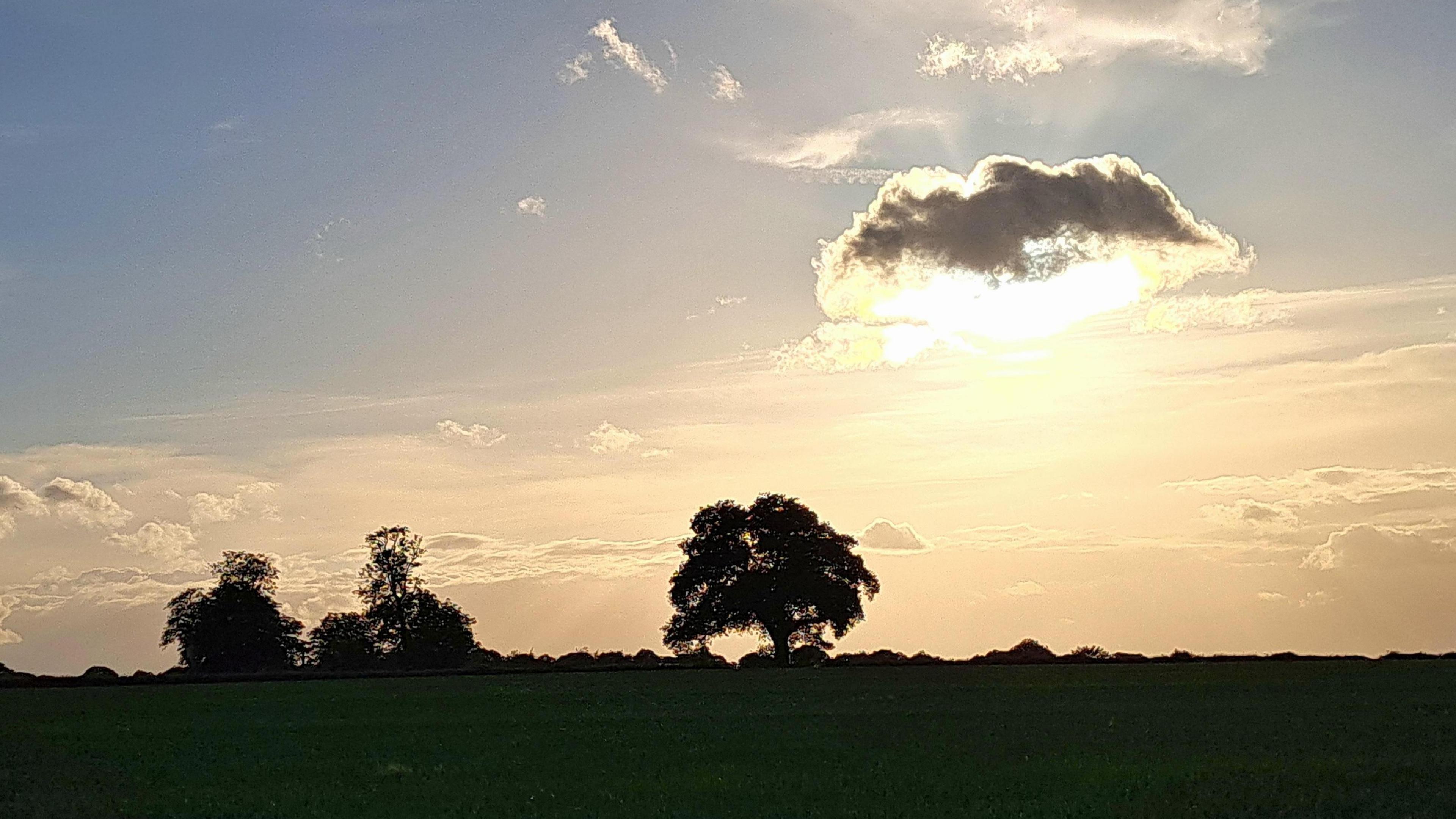 A cloud lit underneath by the sun sits over trees on the horizon