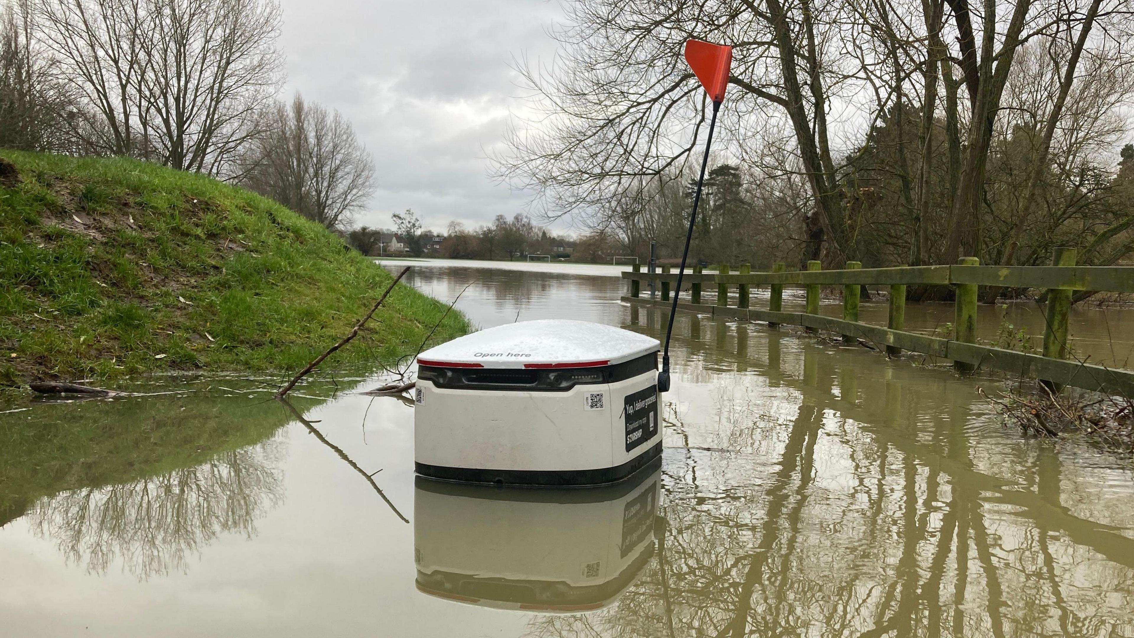 A starship delivery robot submerged in flood water. The robots, which are like smart cool-boxes on wheels, are used to autonomously deliver groceries in the neighbourhood. This robot's wheels are all submerged beneath muddy water. It is mostly white, with two black bands running around its top and bottom. The words "open here" can just be made out on its roof or lid. It also has a flag pole coming up from its rear, right hand corner. At the top of the pole is a triangular orange flag. Elsewhere in the picture is a small grassy bank, a wooden fence running from the right of the image into the middle distance, and some bare trees. In the far distance some flooded playing fields can be made out.